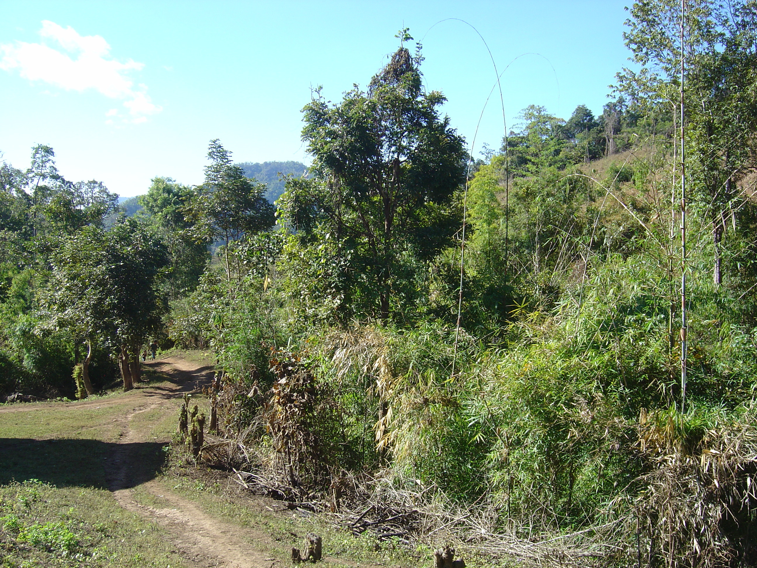 照片 泰国(Thailand) 邦玛帕(Pang Mapha) 2005-12 141