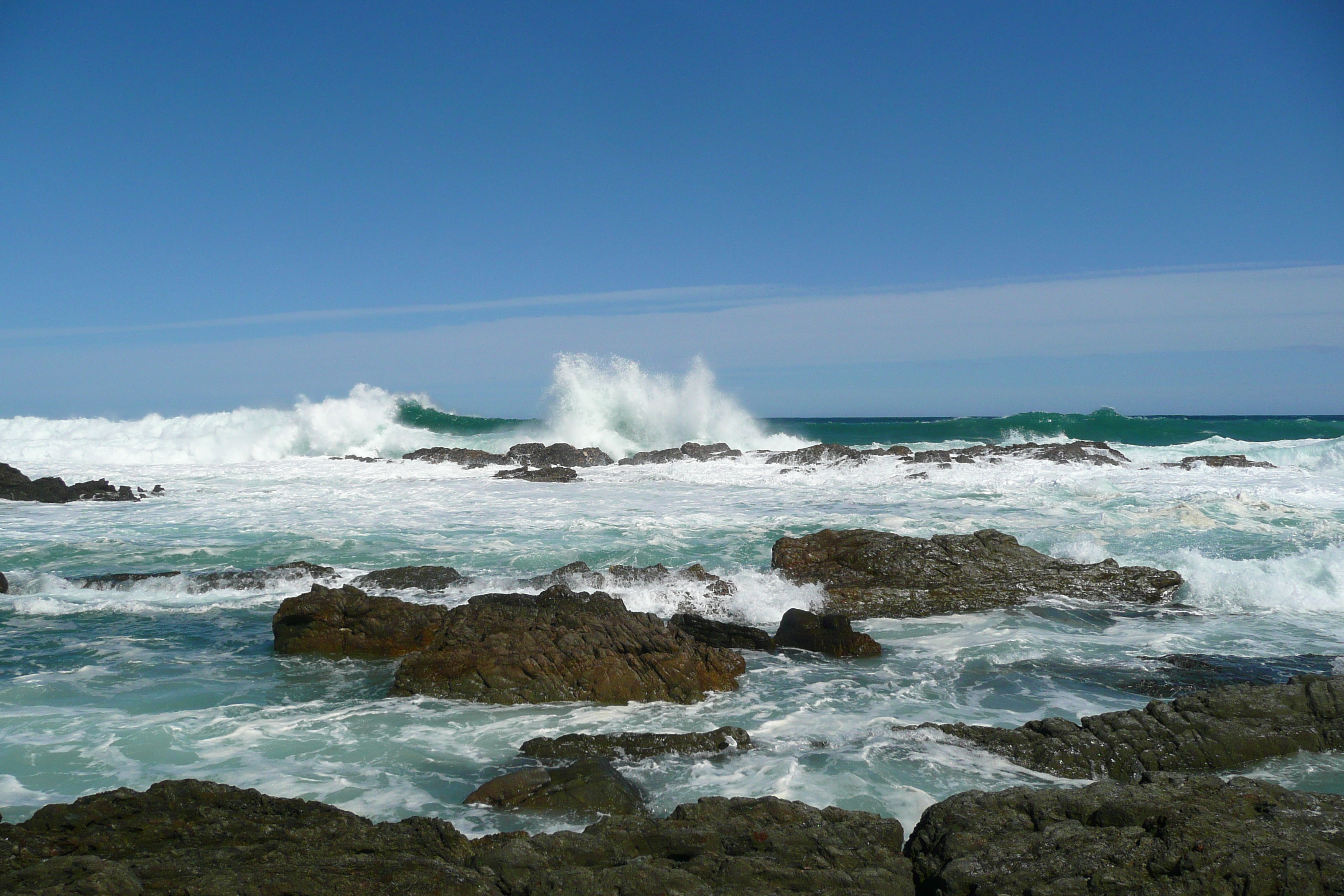 照片 南非(South Africa) 齐齐卡马国家公园(Tsitsikamma National Park) 2008-09 259