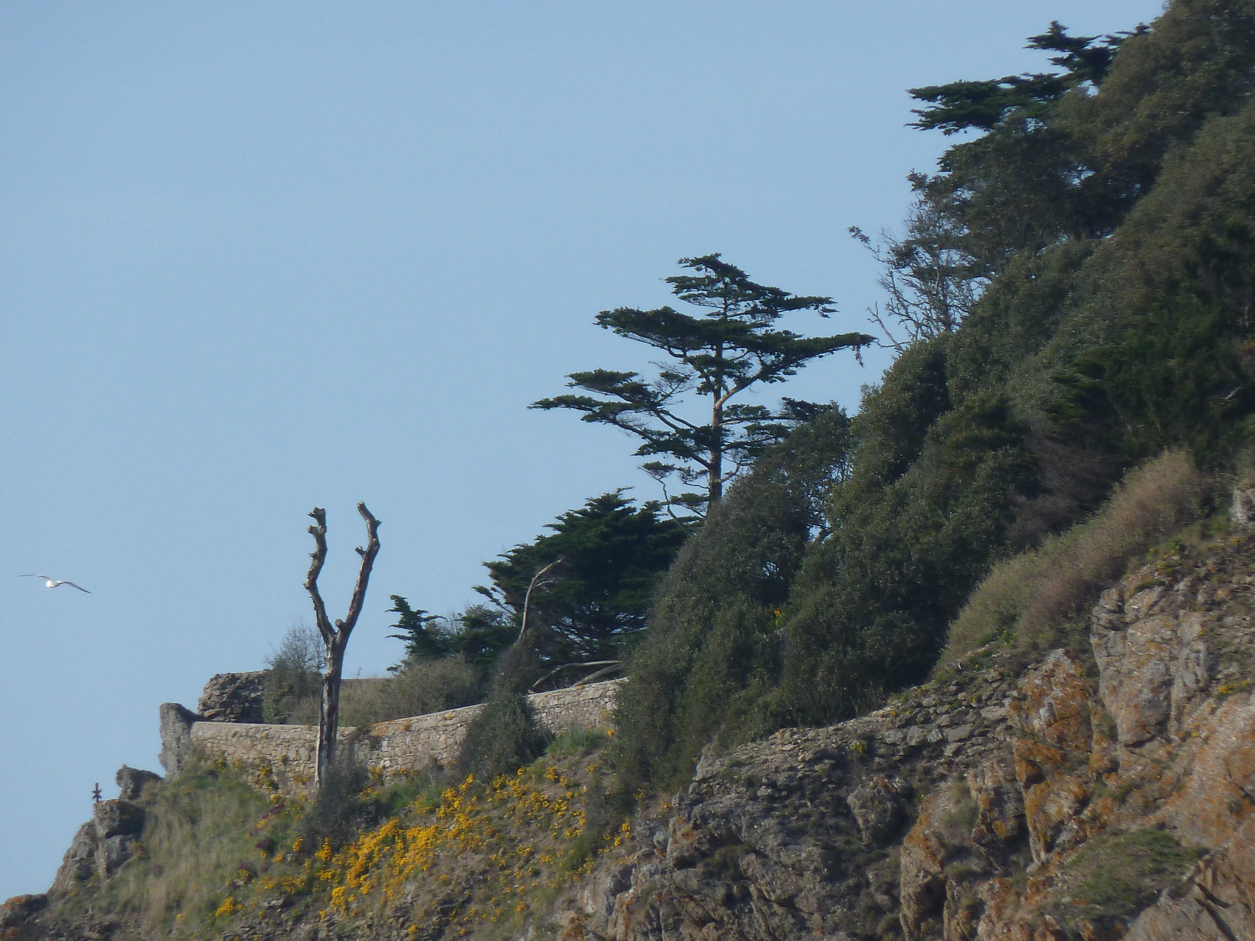 照片 法国(France) 圣库隆(St Coulomb) 迪盖克兰湾(Du Guesclin Bay) 2010-04 4