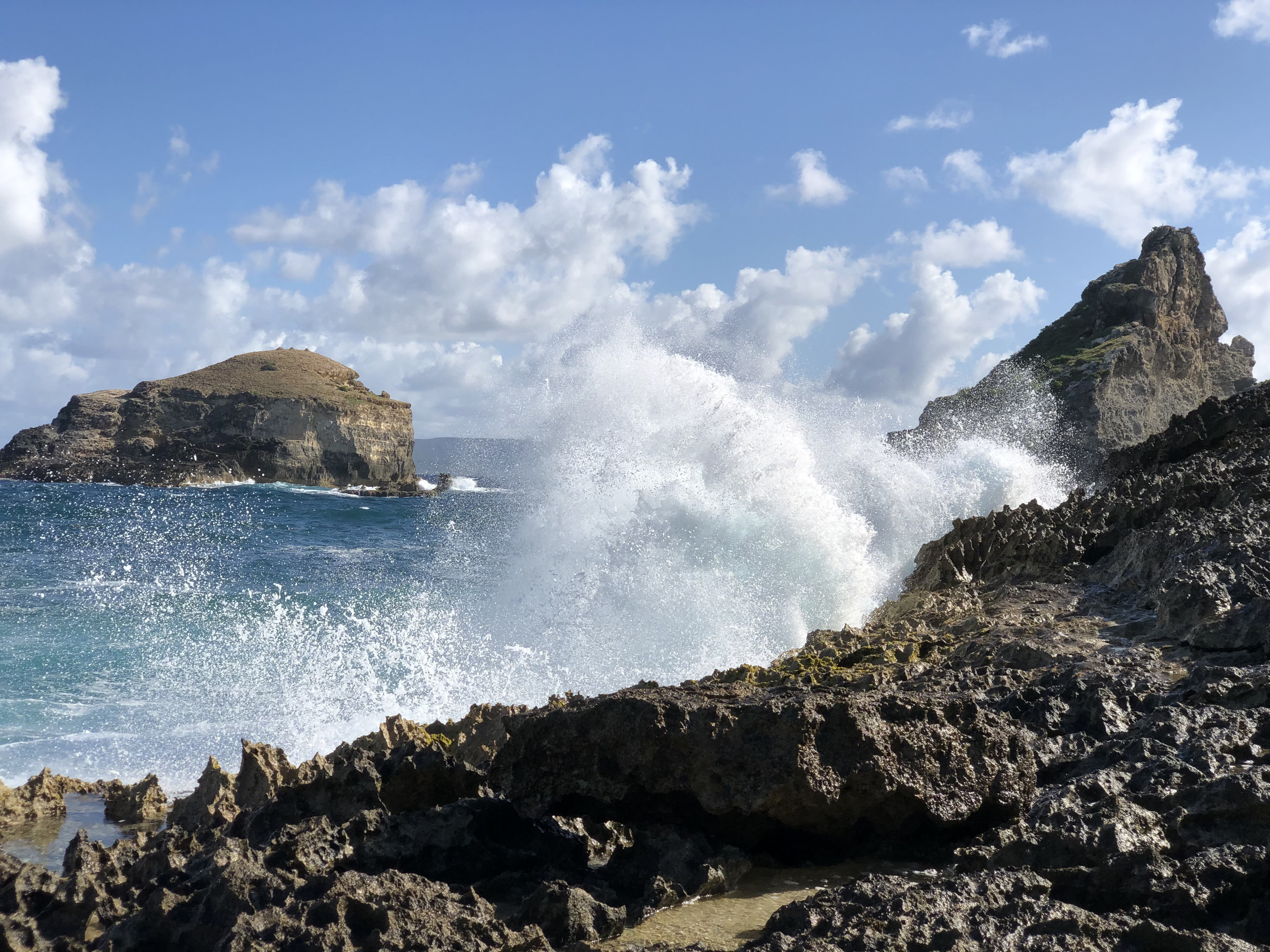 照片 瓜德罗普(Guadeloupe) 城堡角(Castle Point) 2021-02 61