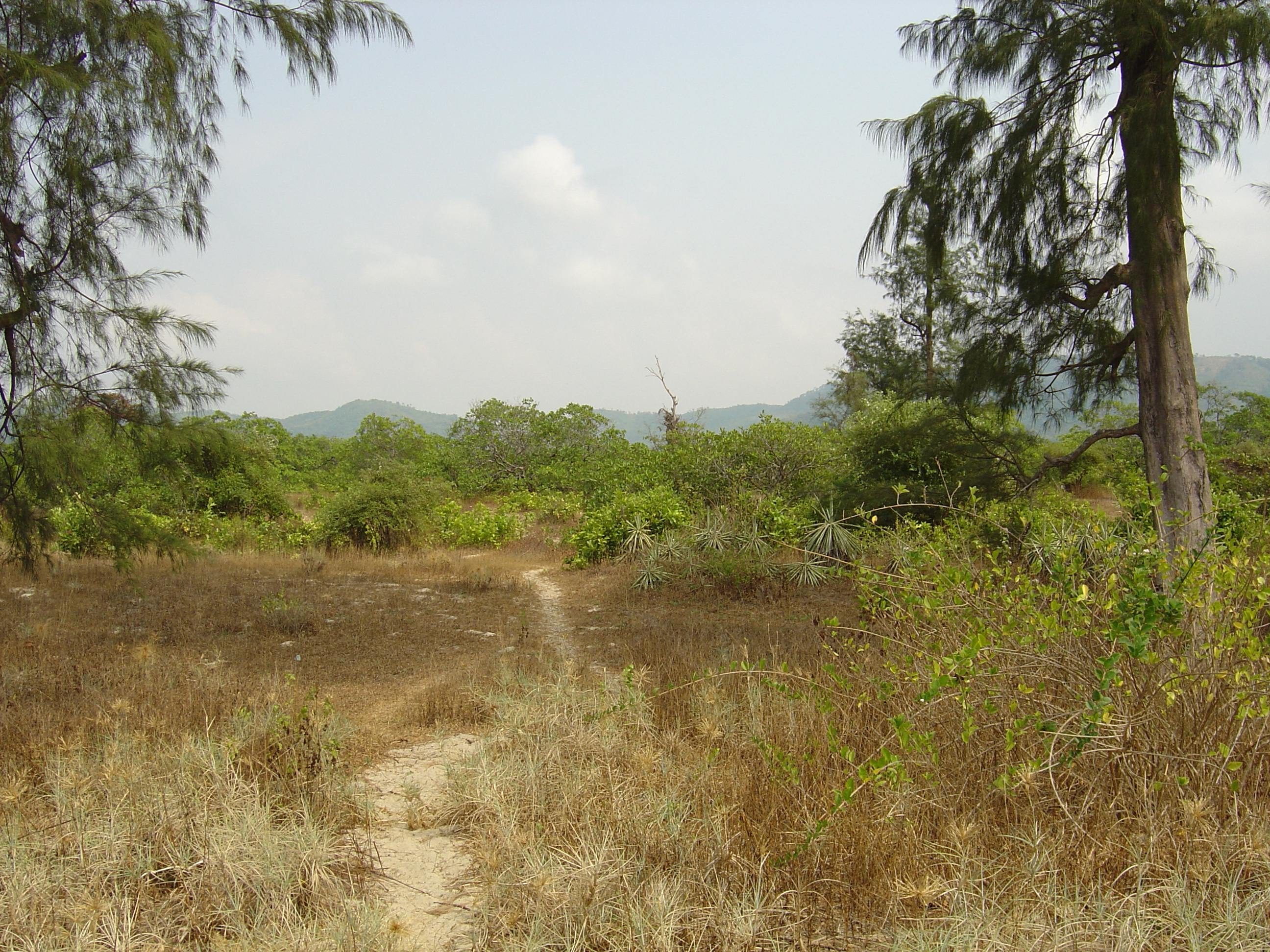 照片 缅甸(Myanmar) 茂马干海滩(Maungmagan beach) 2005-01 75