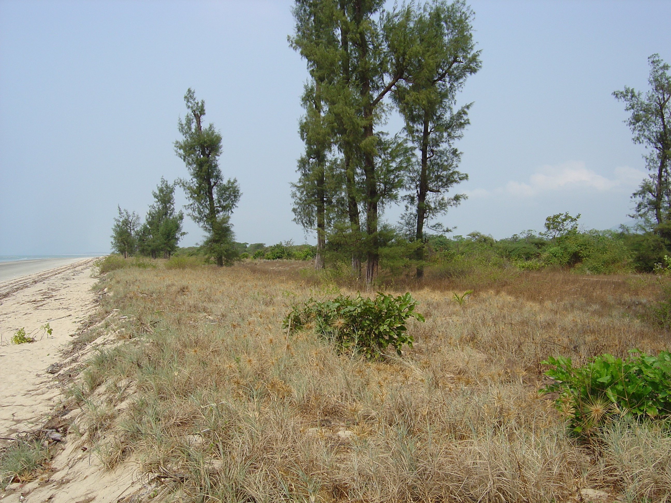 照片 缅甸(Myanmar) 茂马干海滩(Maungmagan beach) 2005-01 81