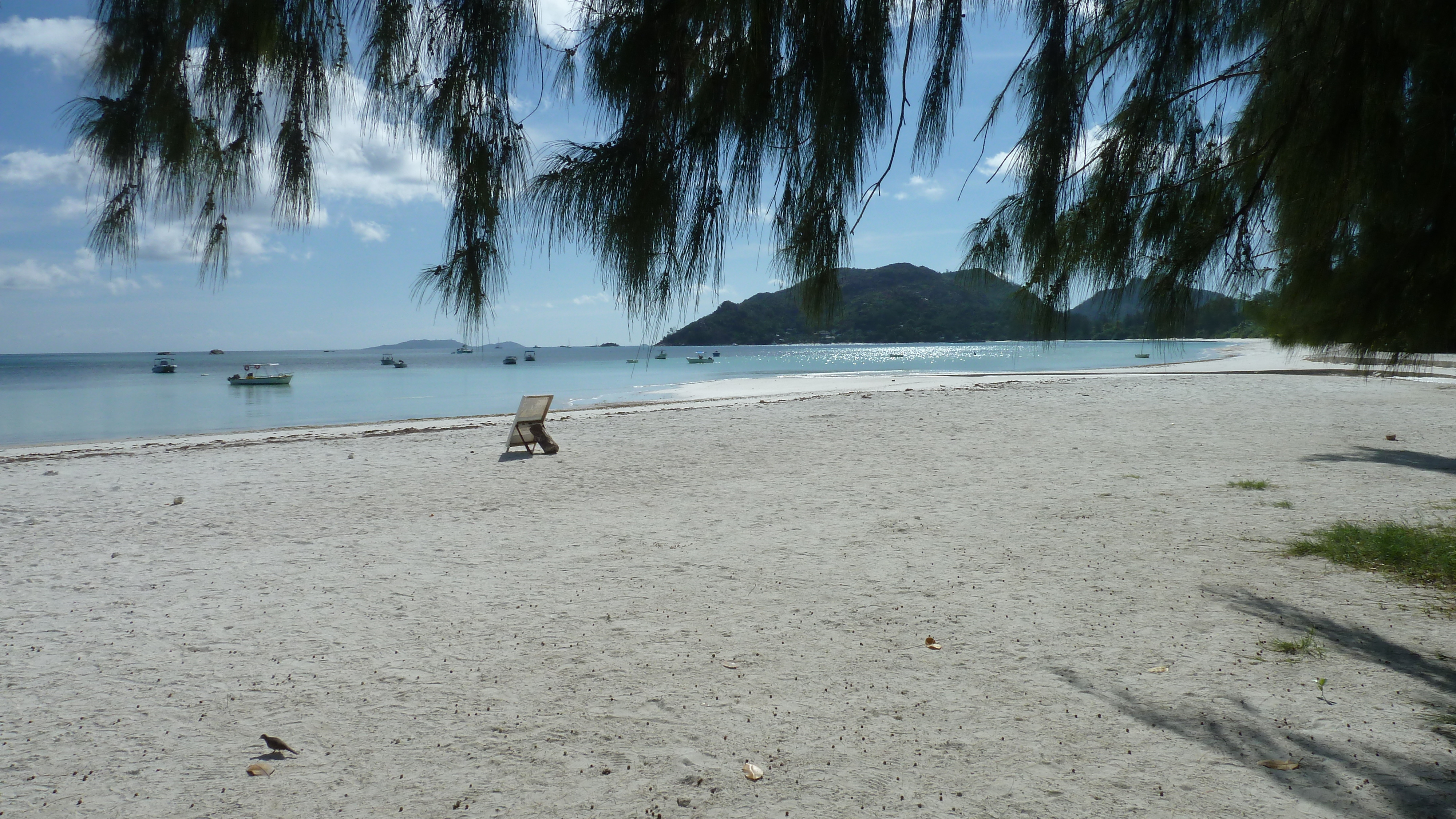 照片 塞舌尔(Seychelles) 普拉兰岛(Praslin) 2011-10 44