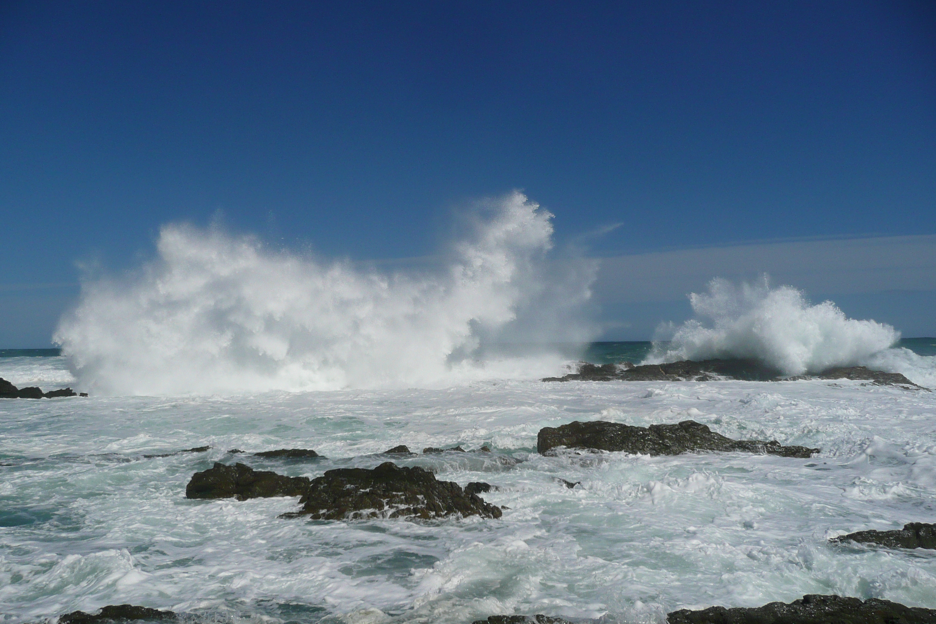 照片 南非(South Africa) 齐齐卡马国家公园(Tsitsikamma National Park) 2008-09 274