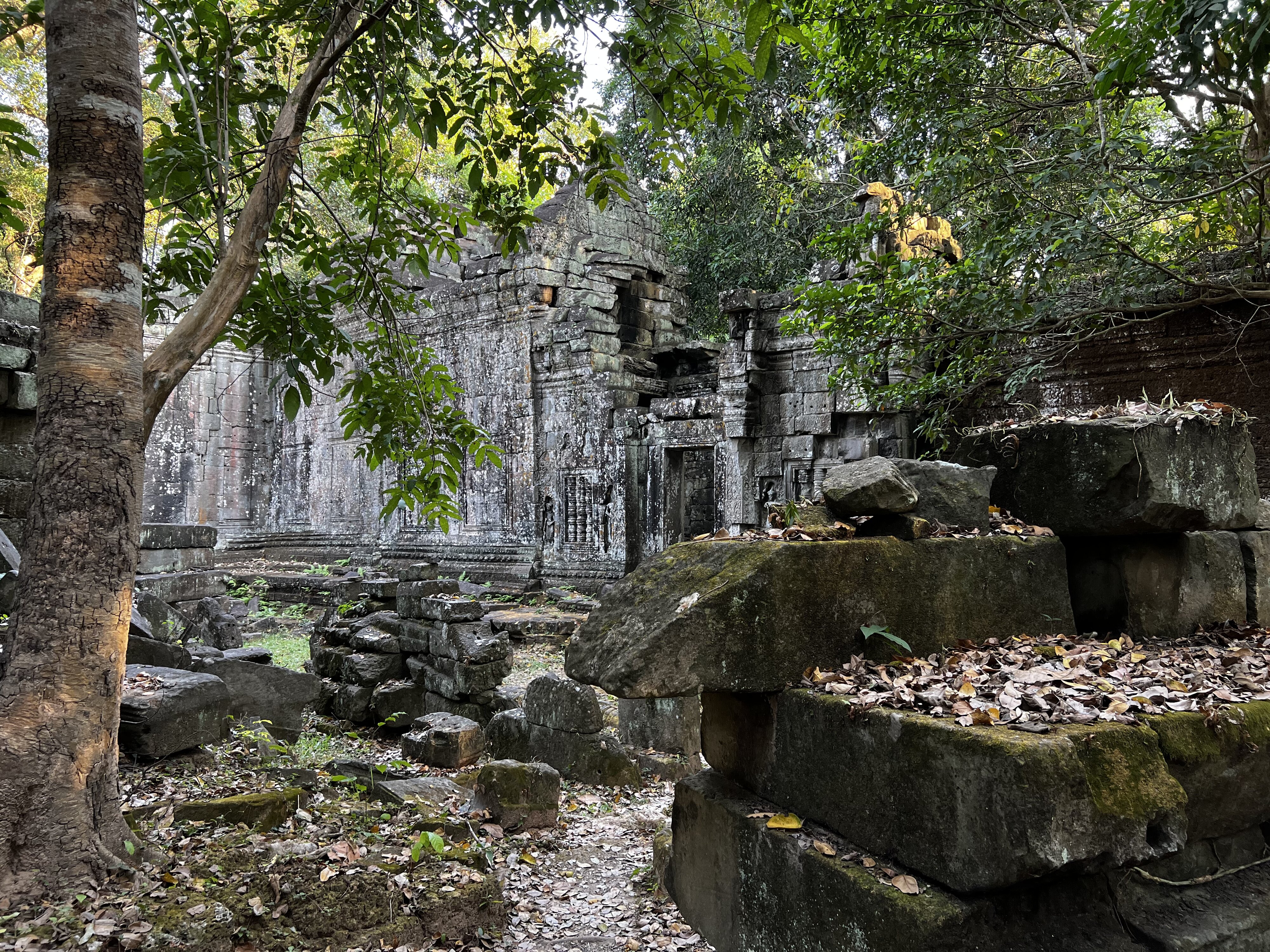照片 柬埔寨(Cambodia) 暹粒(Siem Reap) 圣剑寺(Preah Khan) 2023-01 63