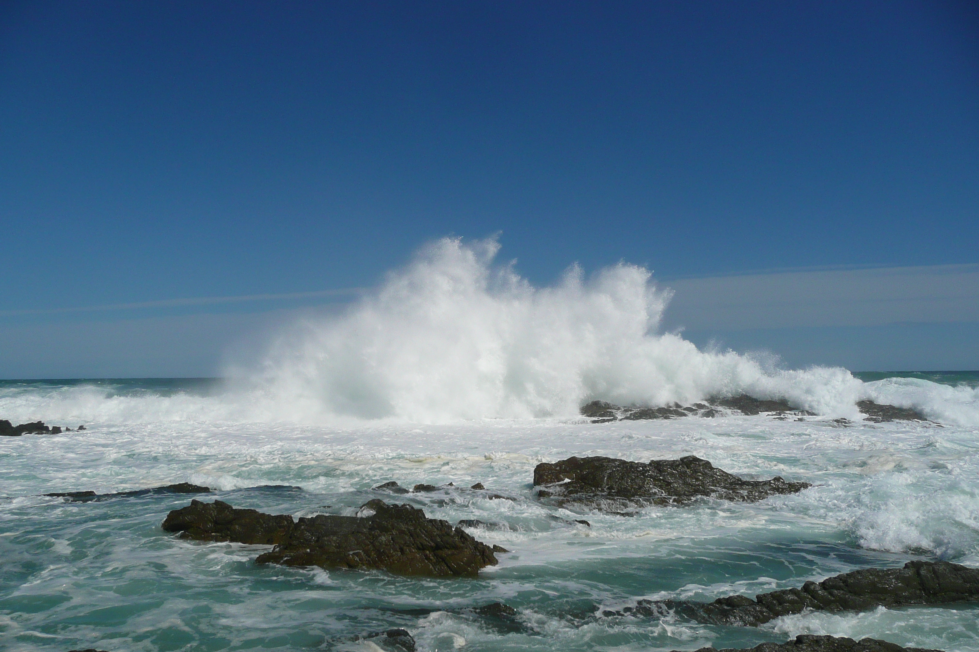 照片 南非(South Africa) 齐齐卡马国家公园(Tsitsikamma National Park) 2008-09 186