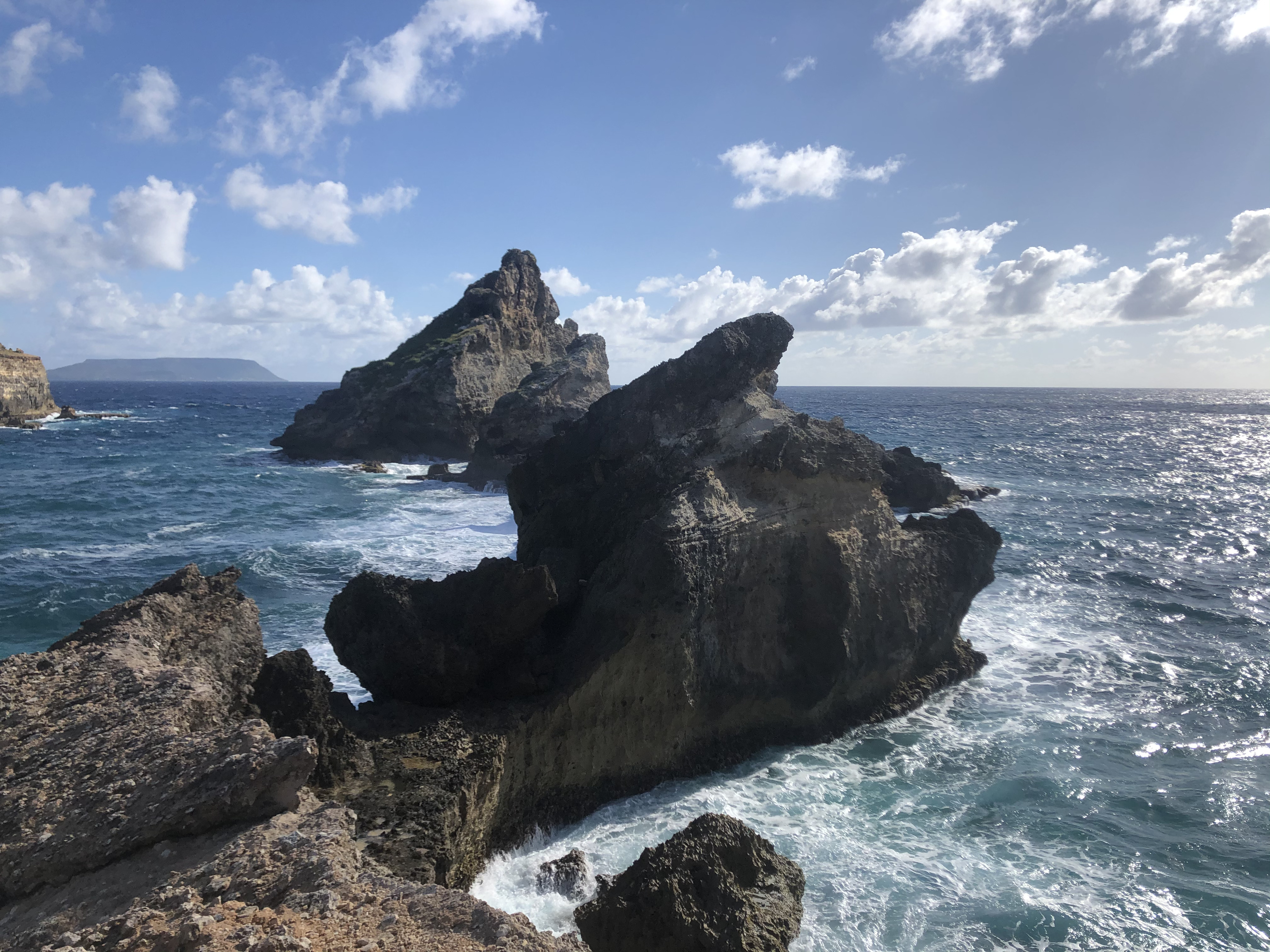 照片 瓜德罗普(Guadeloupe) 城堡角(Castle Point) 2021-02 77