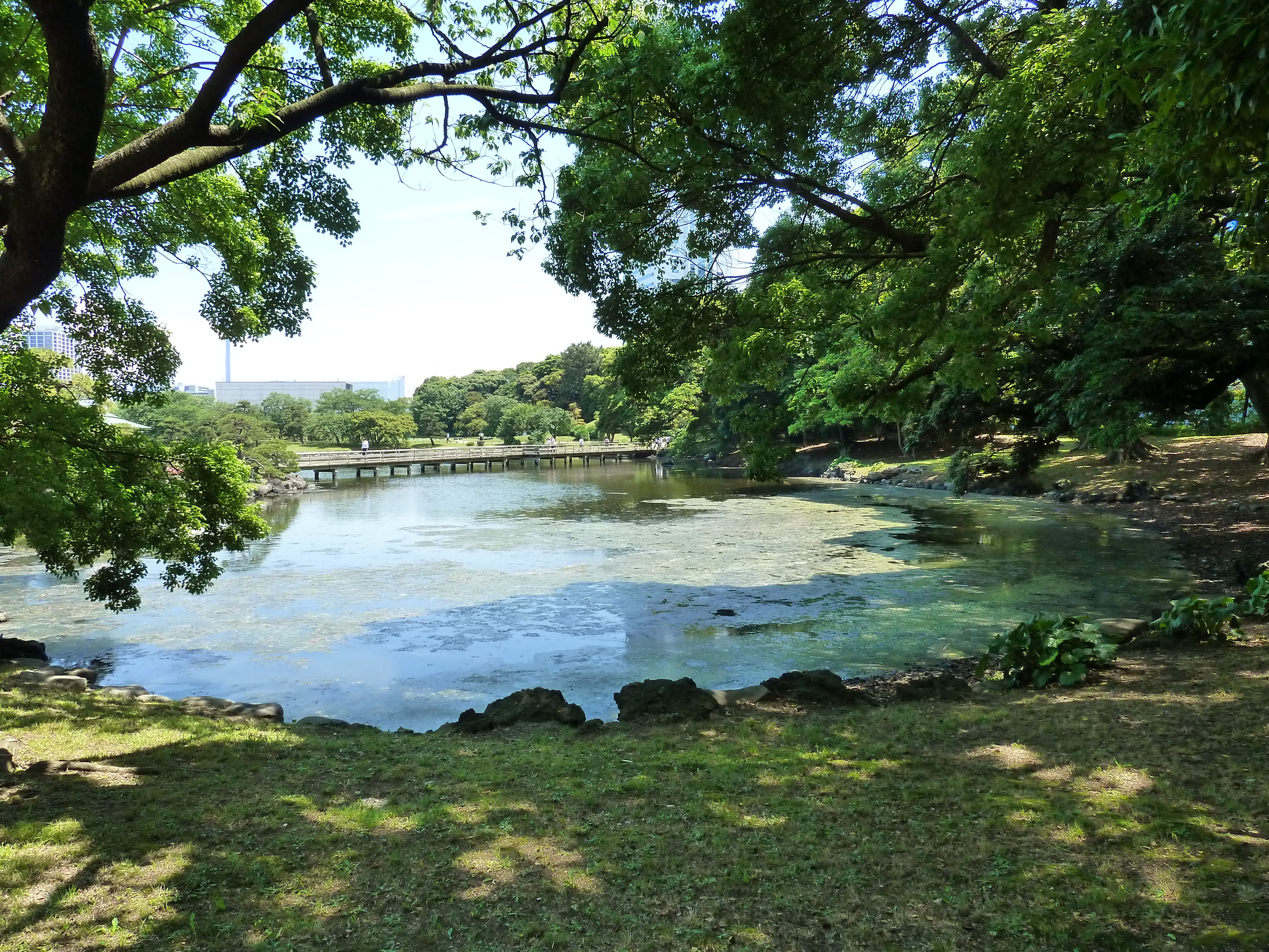 照片 日本(Japan) 东京(Tokyo) 滨离宫恩赐庭园(Hama rikyu Gardens) 2010-06 99