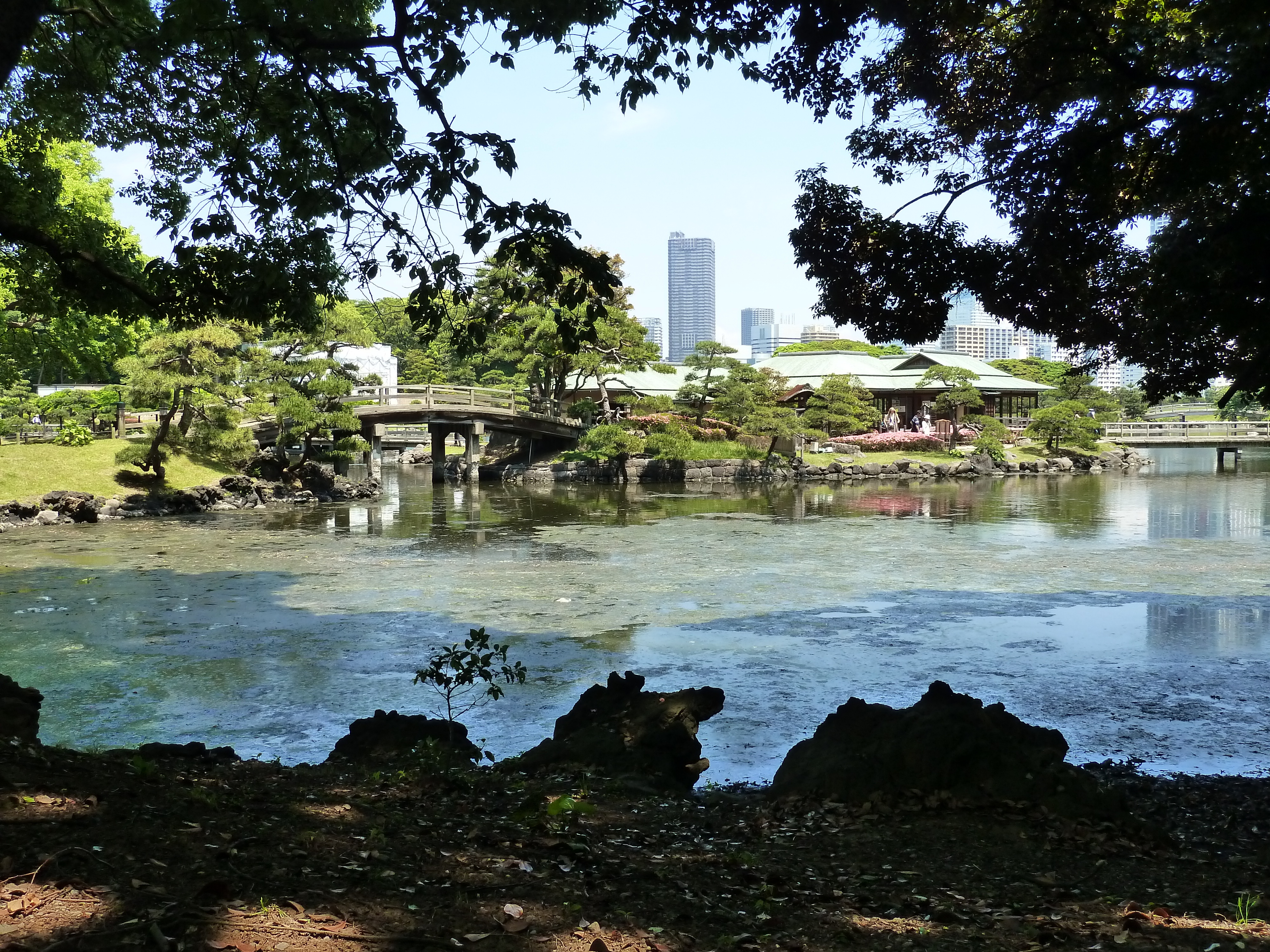 照片 日本(Japan) 东京(Tokyo) 滨离宫恩赐庭园(Hama rikyu Gardens) 2010-06 91