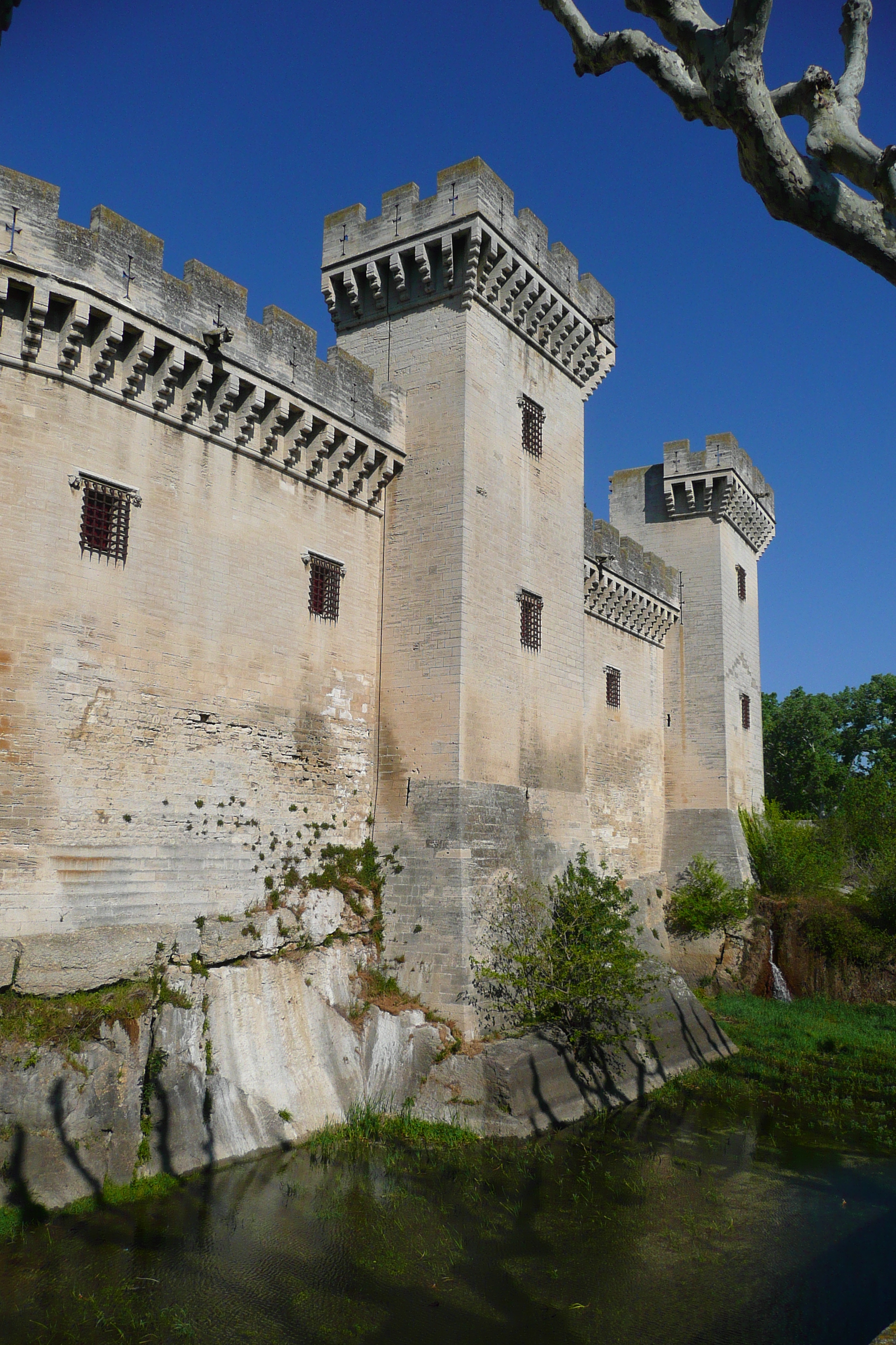 照片 法国(France) 塔拉斯孔(Tarascon) 塔拉斯孔城堡(Tarascon Castle) 2008-04 99