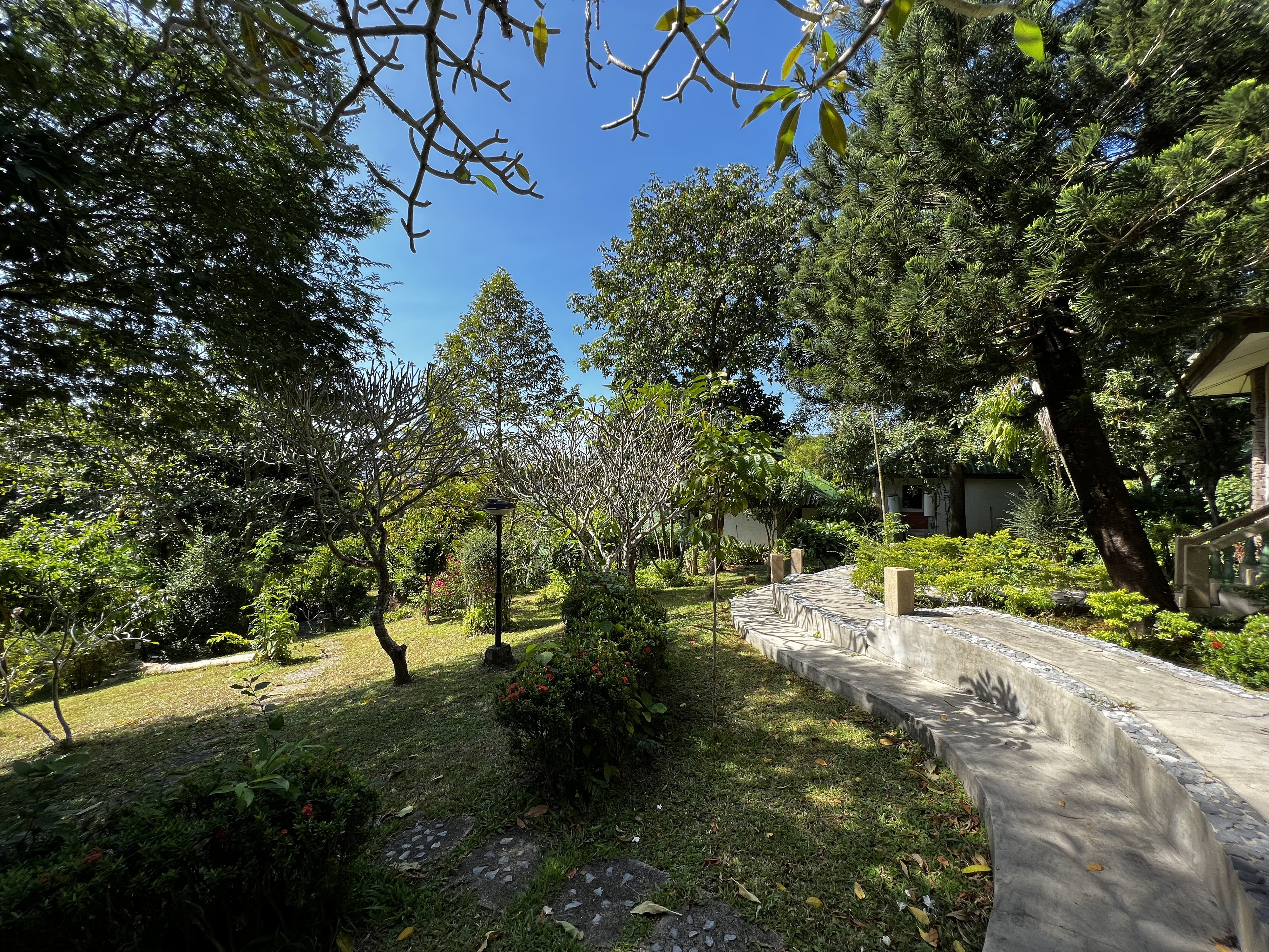 照片 泰国(Thailand) 普吉岛(Phuket) 卡塔海滩(Kata Beach) 卡塔花园度假村(Kata Garden Resort) 2021-12 11
