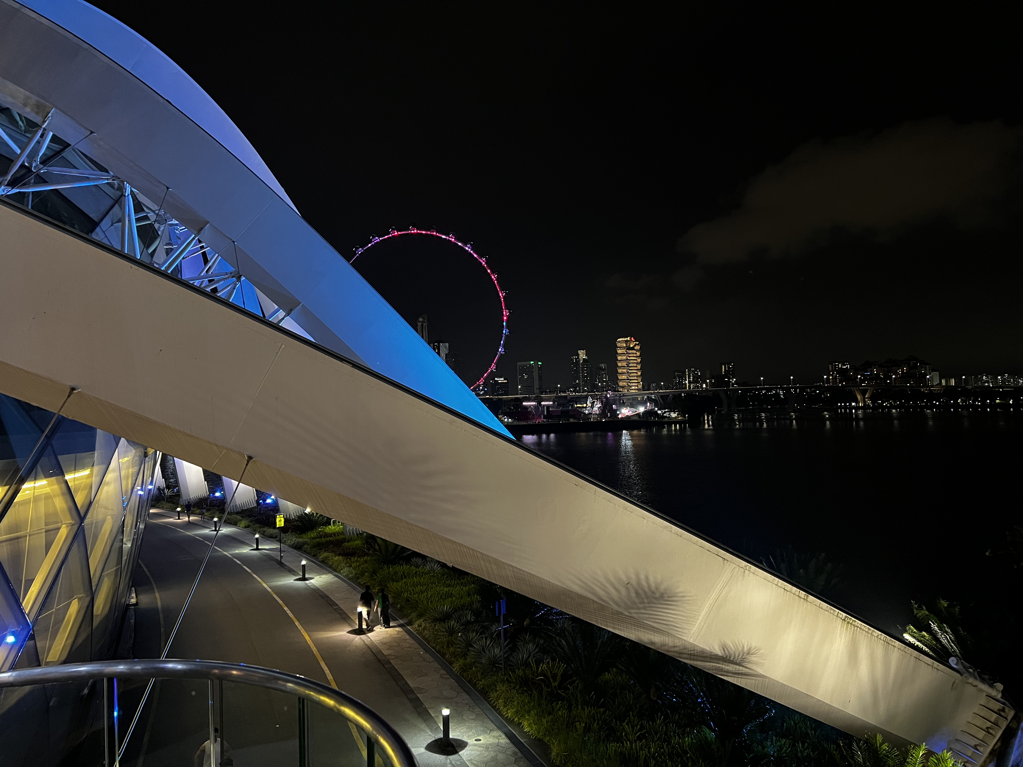 照片 新加坡(Singapore) 滨海湾花园(Garden by the bay) 2023-01 45