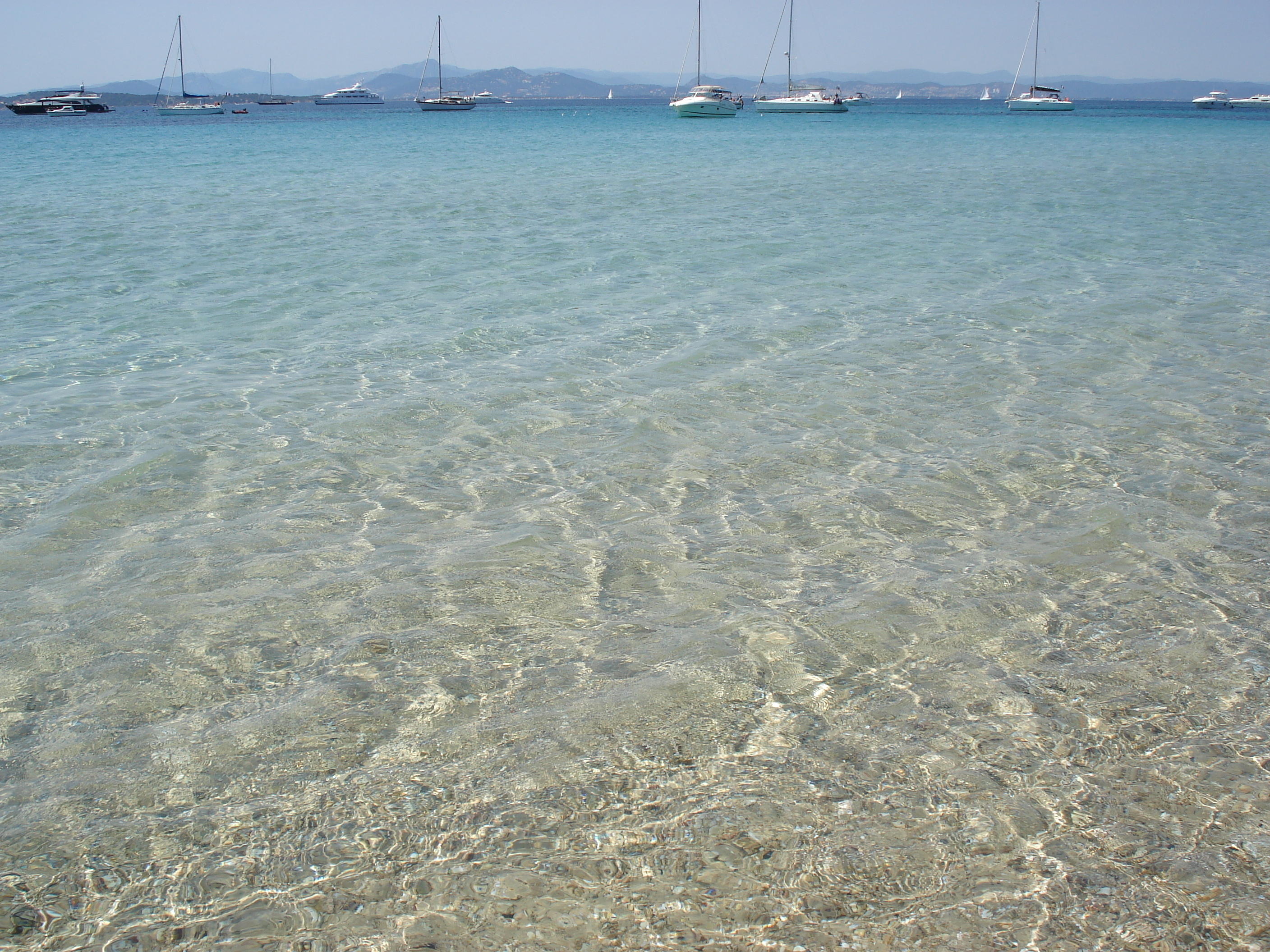 照片 法国(France) 波克罗勒岛(Porquerolles Island) 2006-06 57
