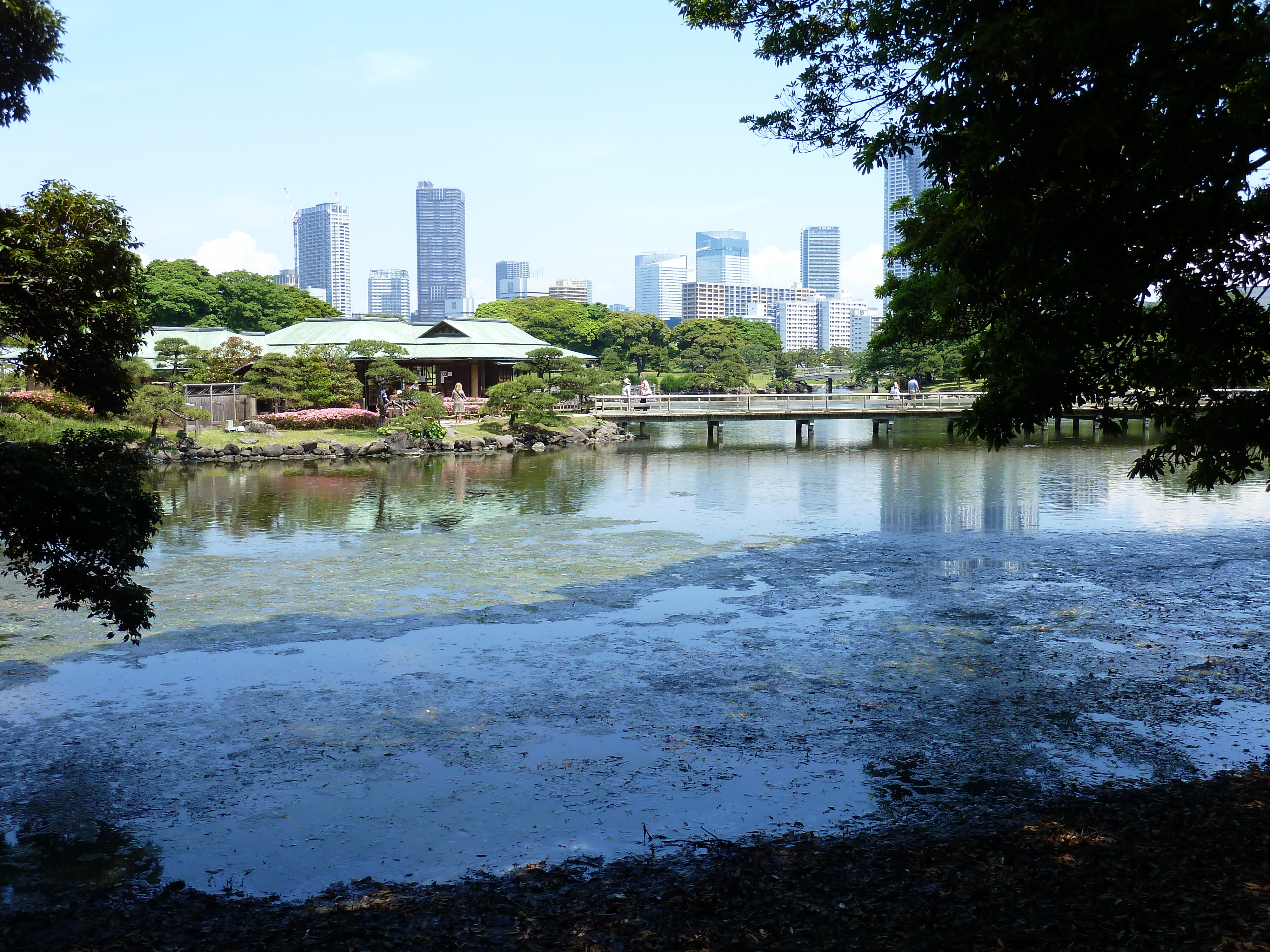 照片 日本(Japan) 东京(Tokyo) 滨离宫恩赐庭园(Hama rikyu Gardens) 2010-06 108