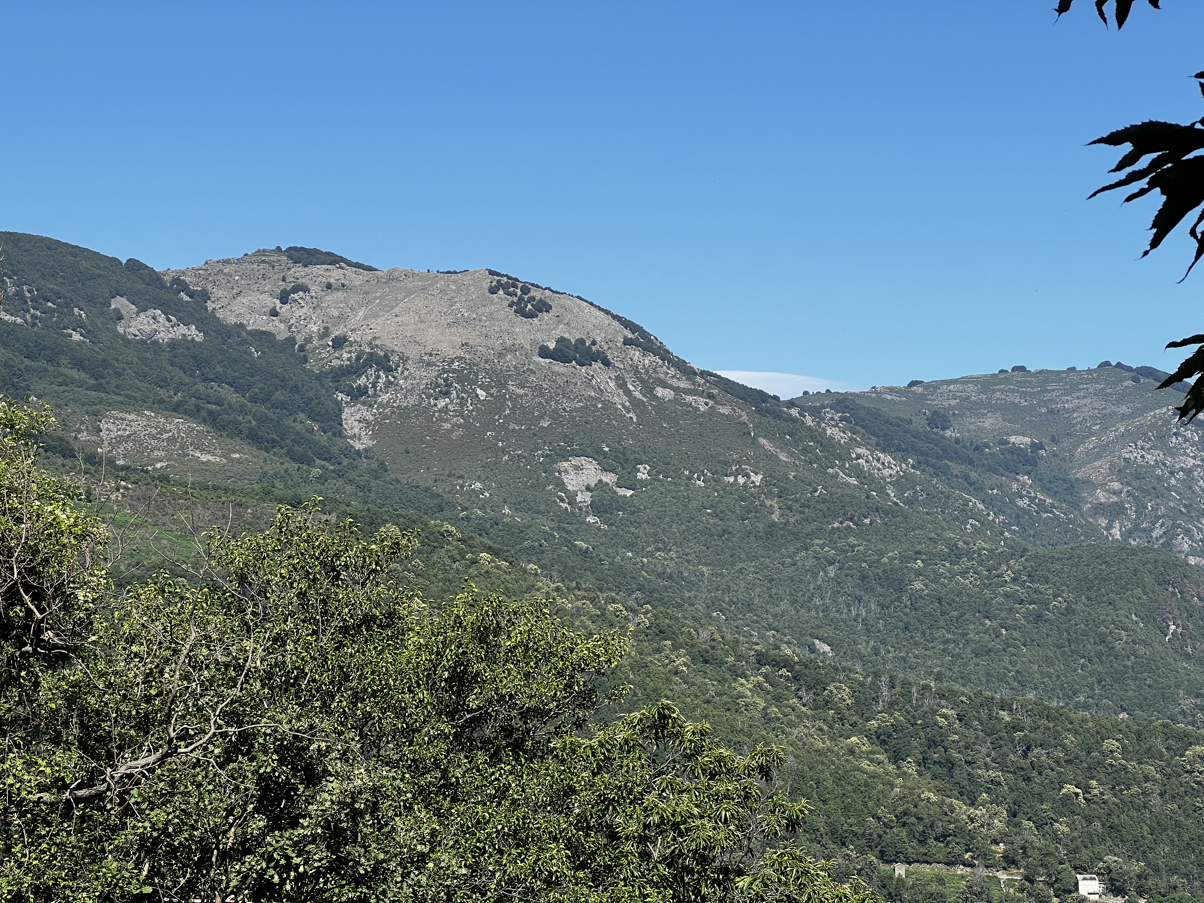 照片 法国(France) 科西嘉岛(Corsica) 卡莱鲁丘山屋(Refuge de Callerucciu) 2022-06 15
