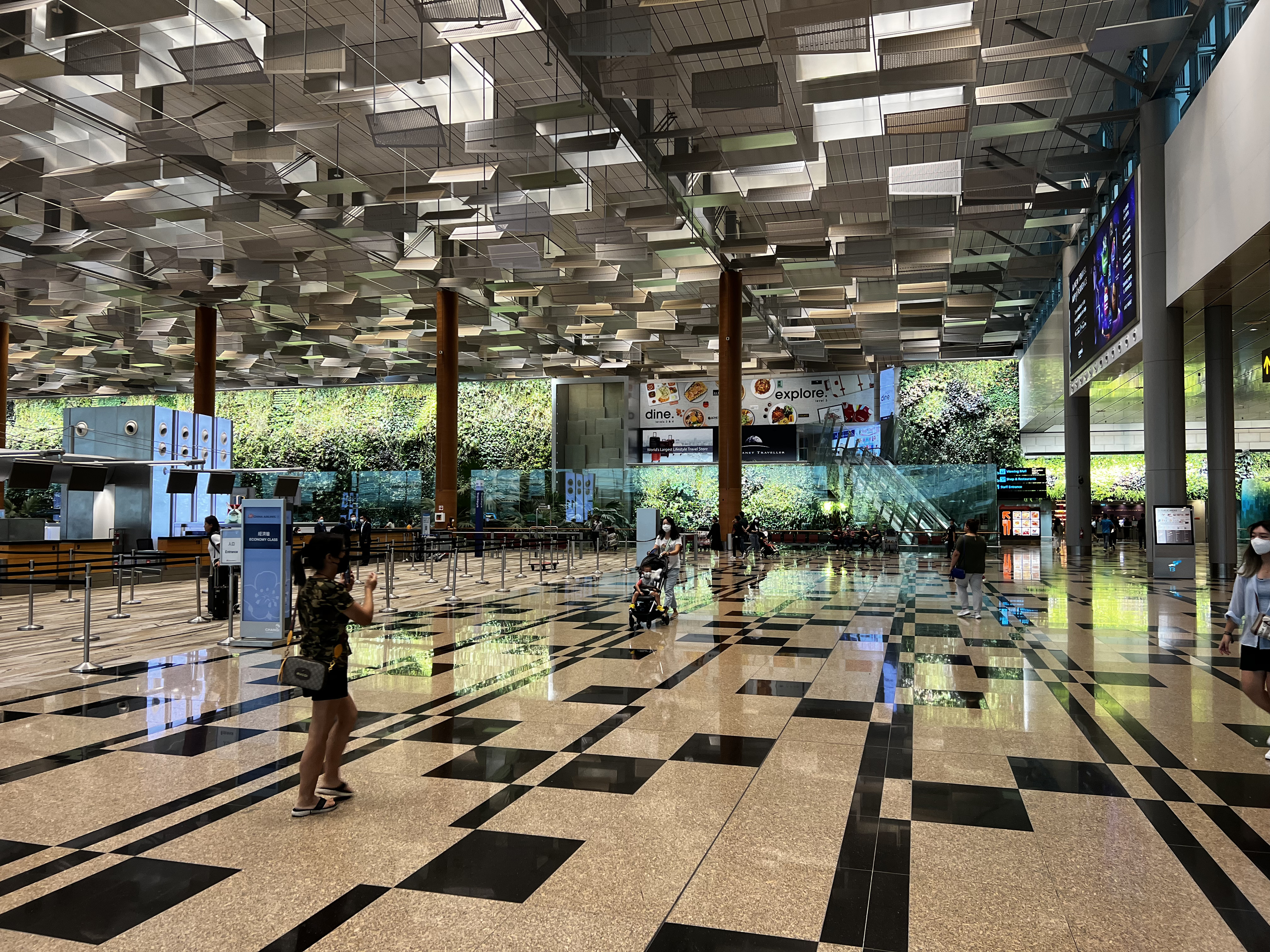 照片 新加坡(Singapore) 新加坡樟宜机场(Singapore Changi Airport) 2023-01 33