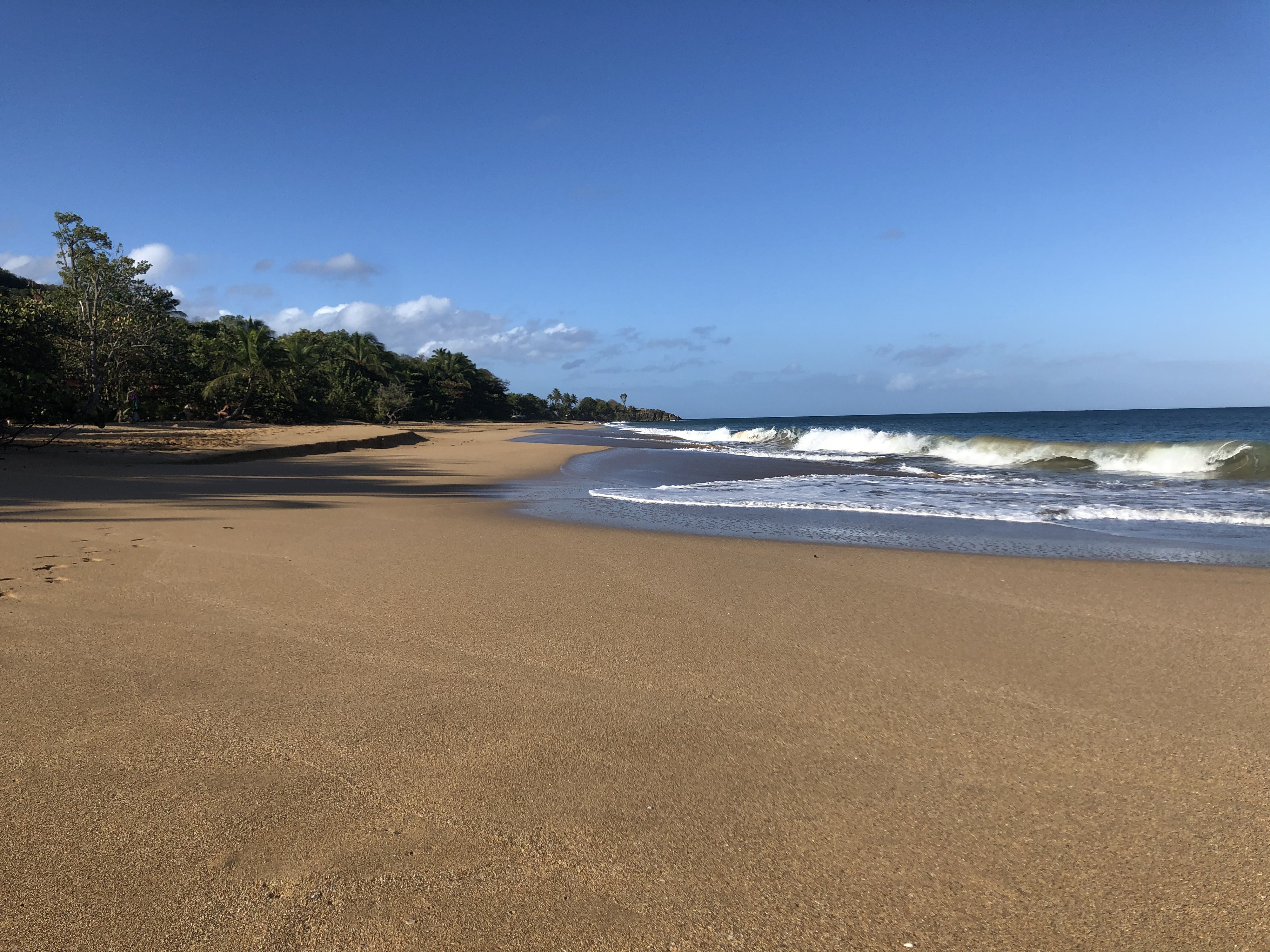 照片 瓜德罗普(Guadeloupe) 珍珠海滩(La Perle Beach) 2021-02 18