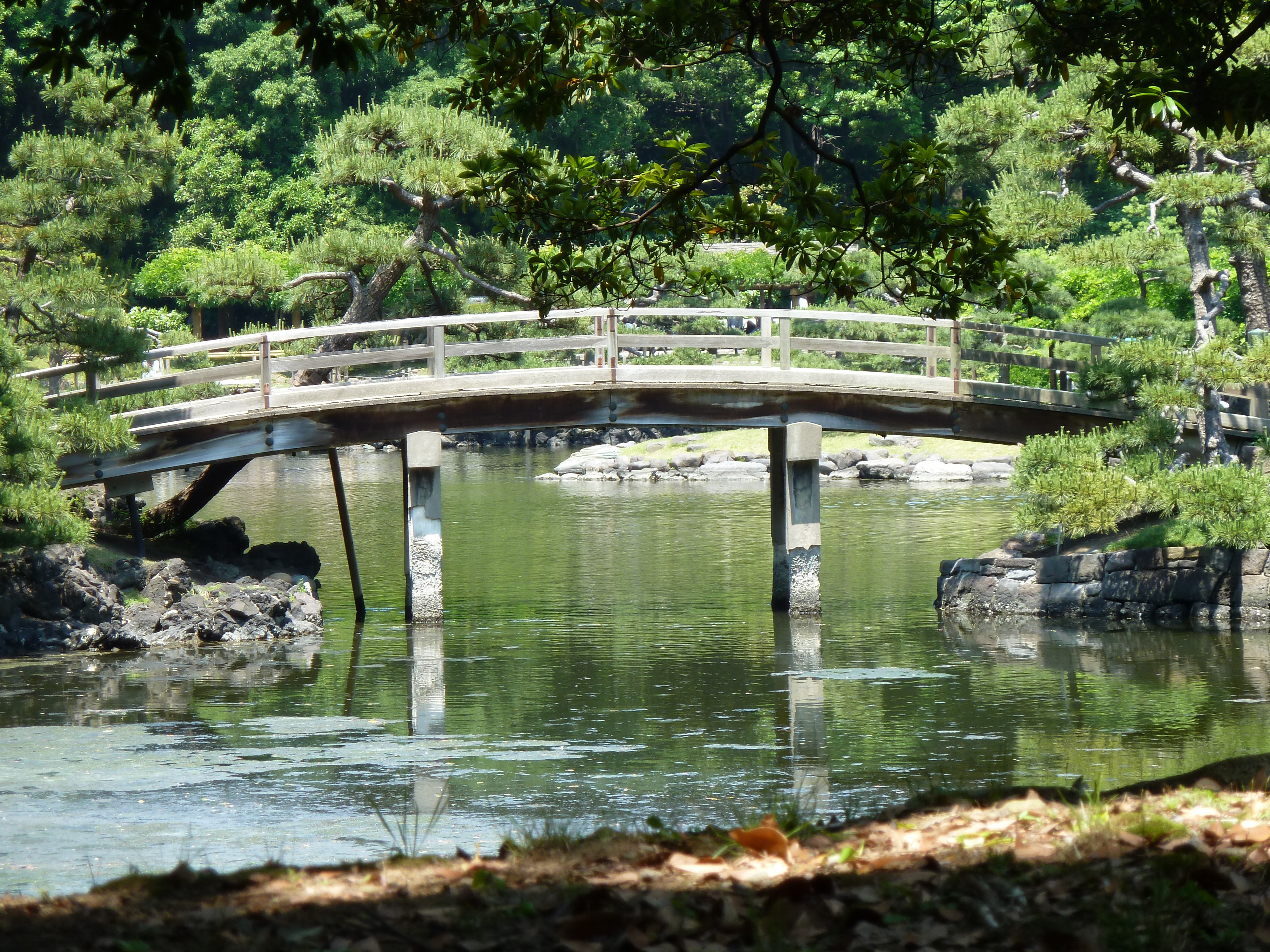 照片 日本(Japan) 东京(Tokyo) 滨离宫恩赐庭园(Hama rikyu Gardens) 2010-06 111