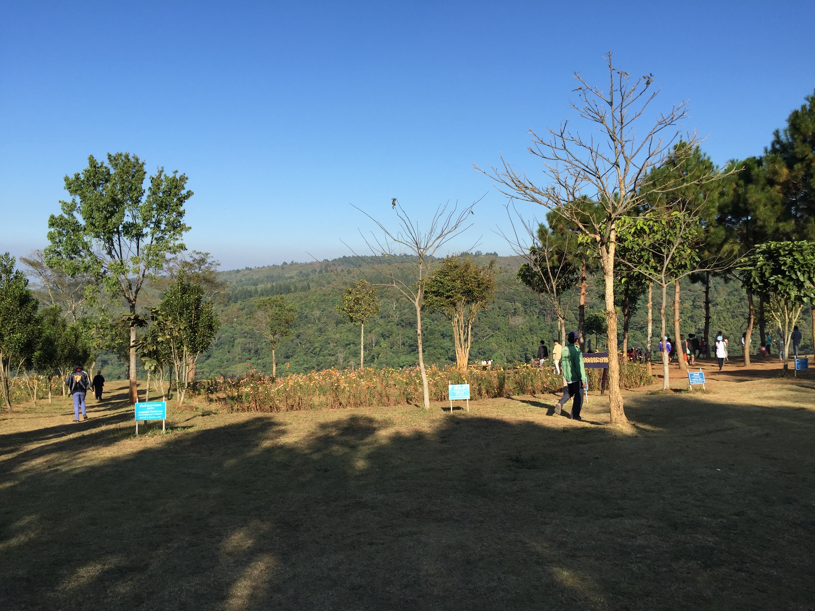 照片 泰国(Thailand) 普欣隆卡国家公园(Phu Hin Rong Kla National Park) 2014-12 271