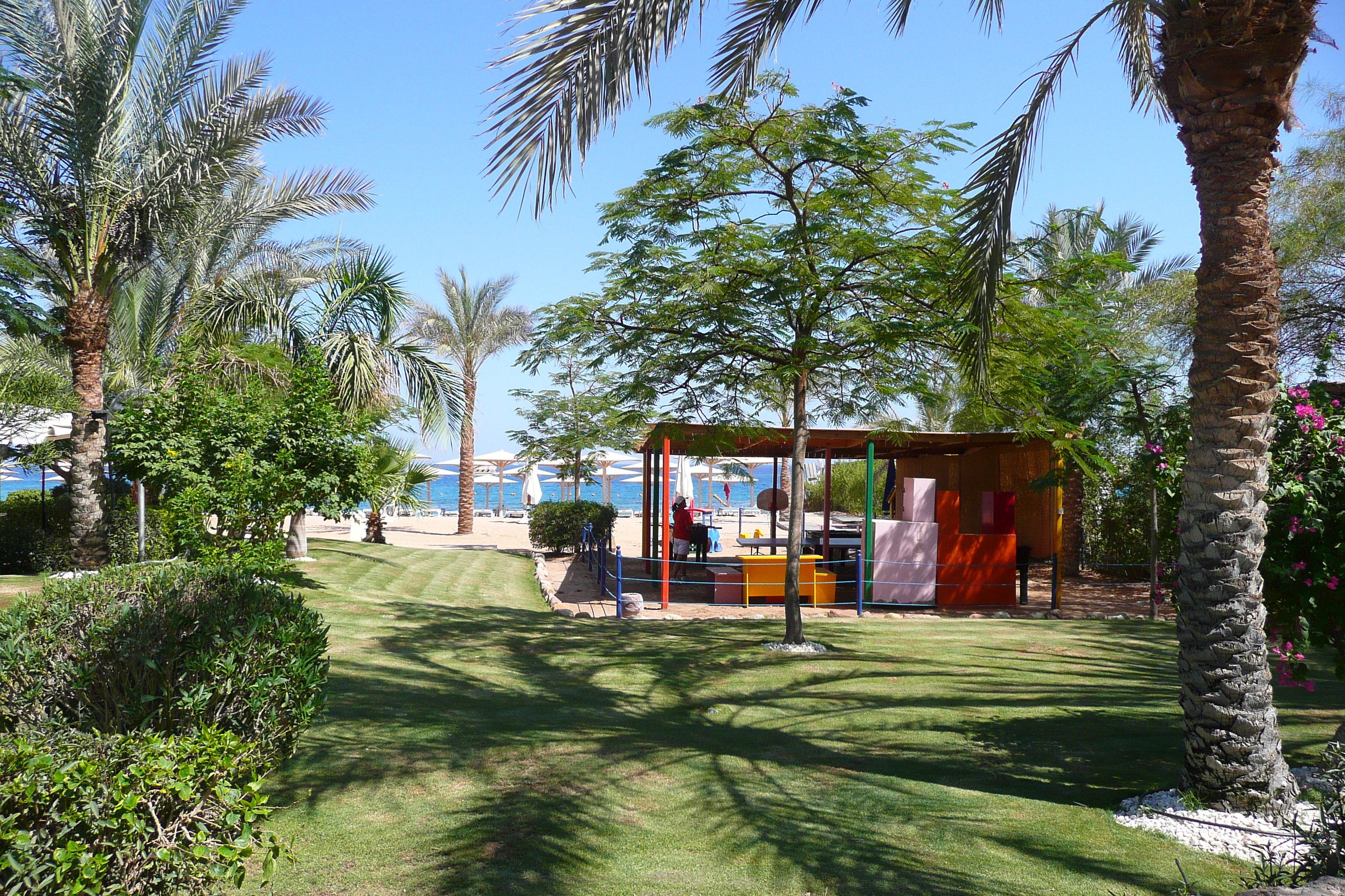 照片 埃及(Egypt) 沙姆沙伊赫(Sharm el Sheikh) 2008-06 10