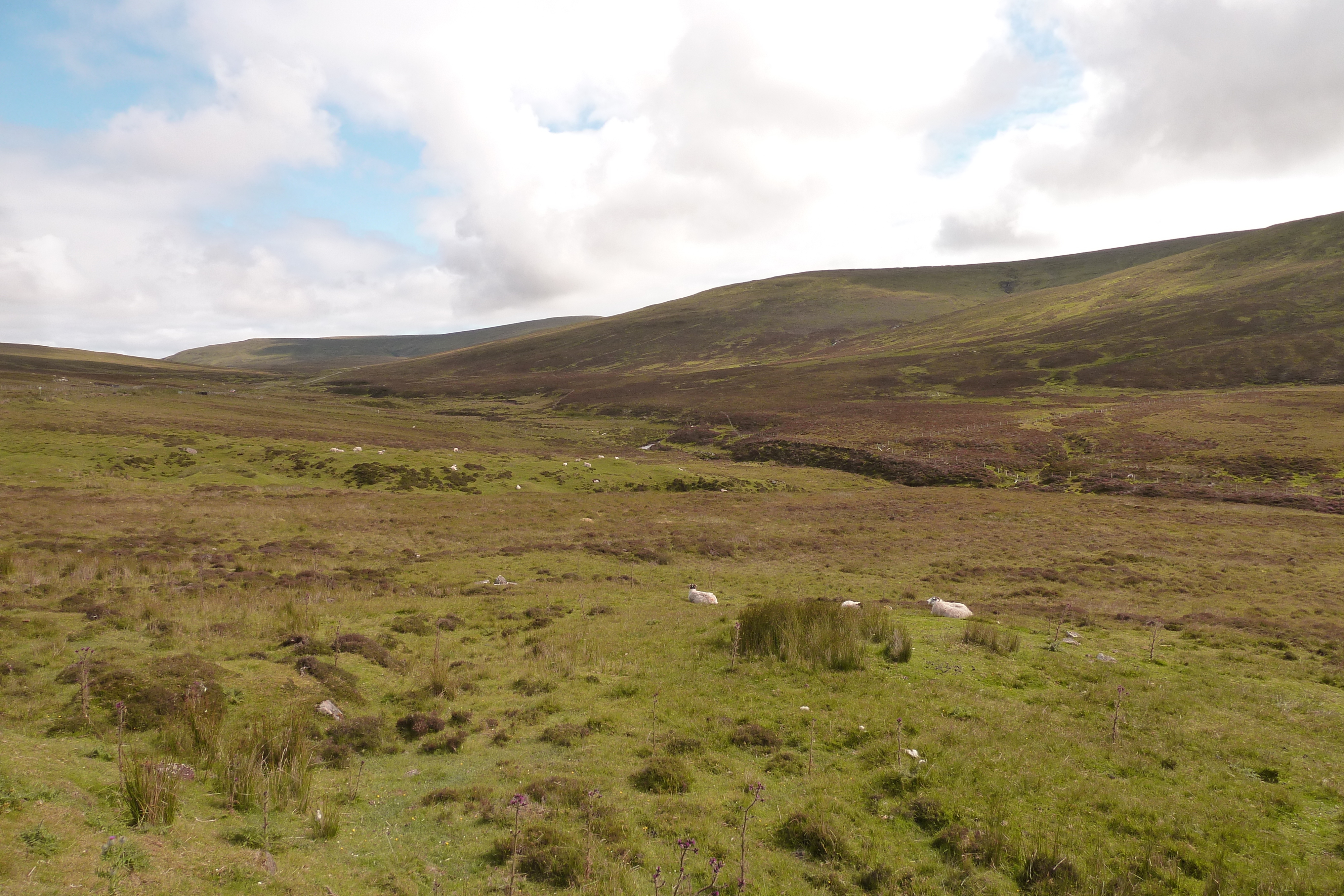 照片 英国(United Kingdom) 斯凯岛(Skye) 2011-07 175
