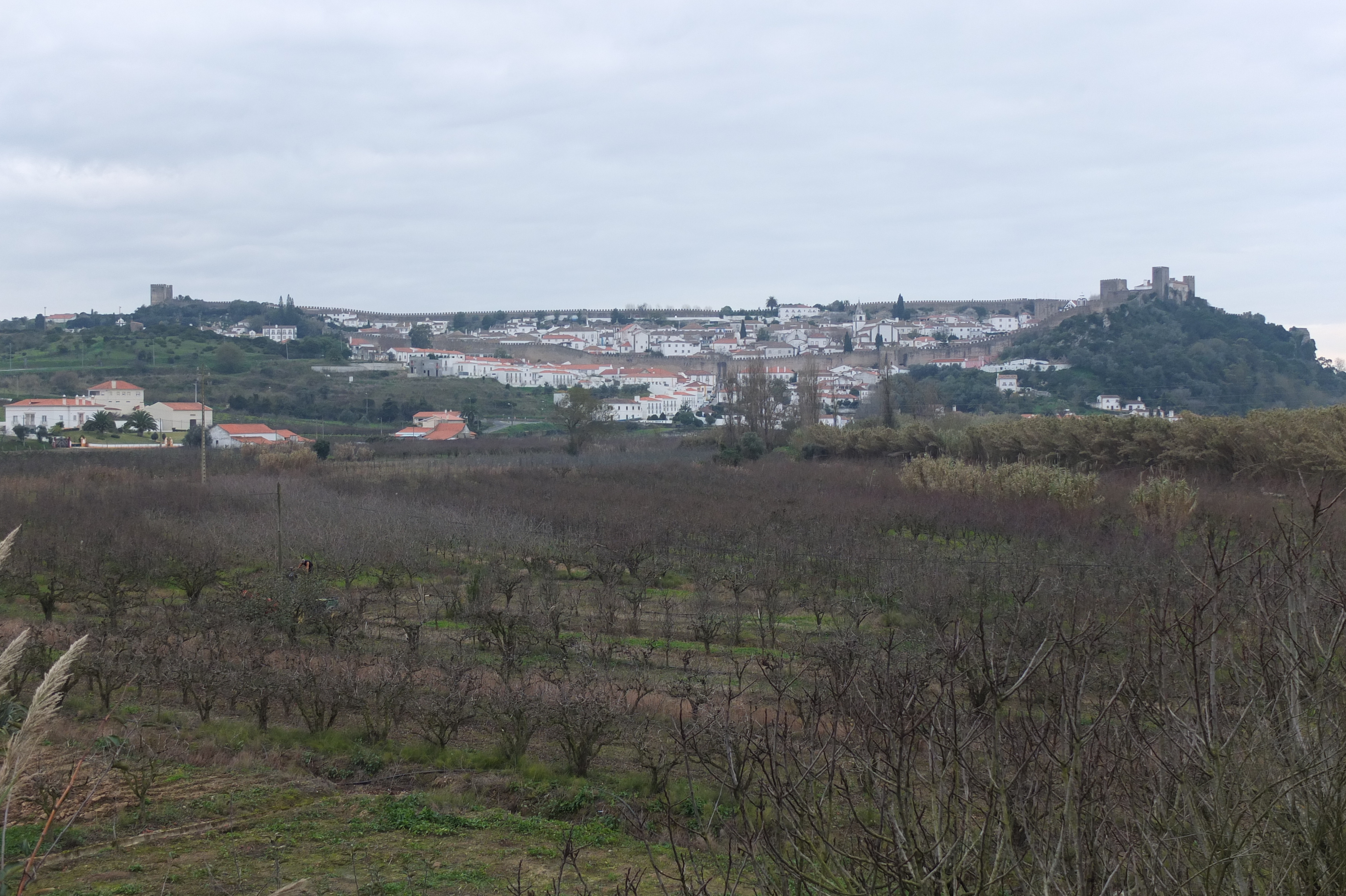 照片 葡萄牙(Portugal) 奥比多斯(Obidos) 2013-01 56