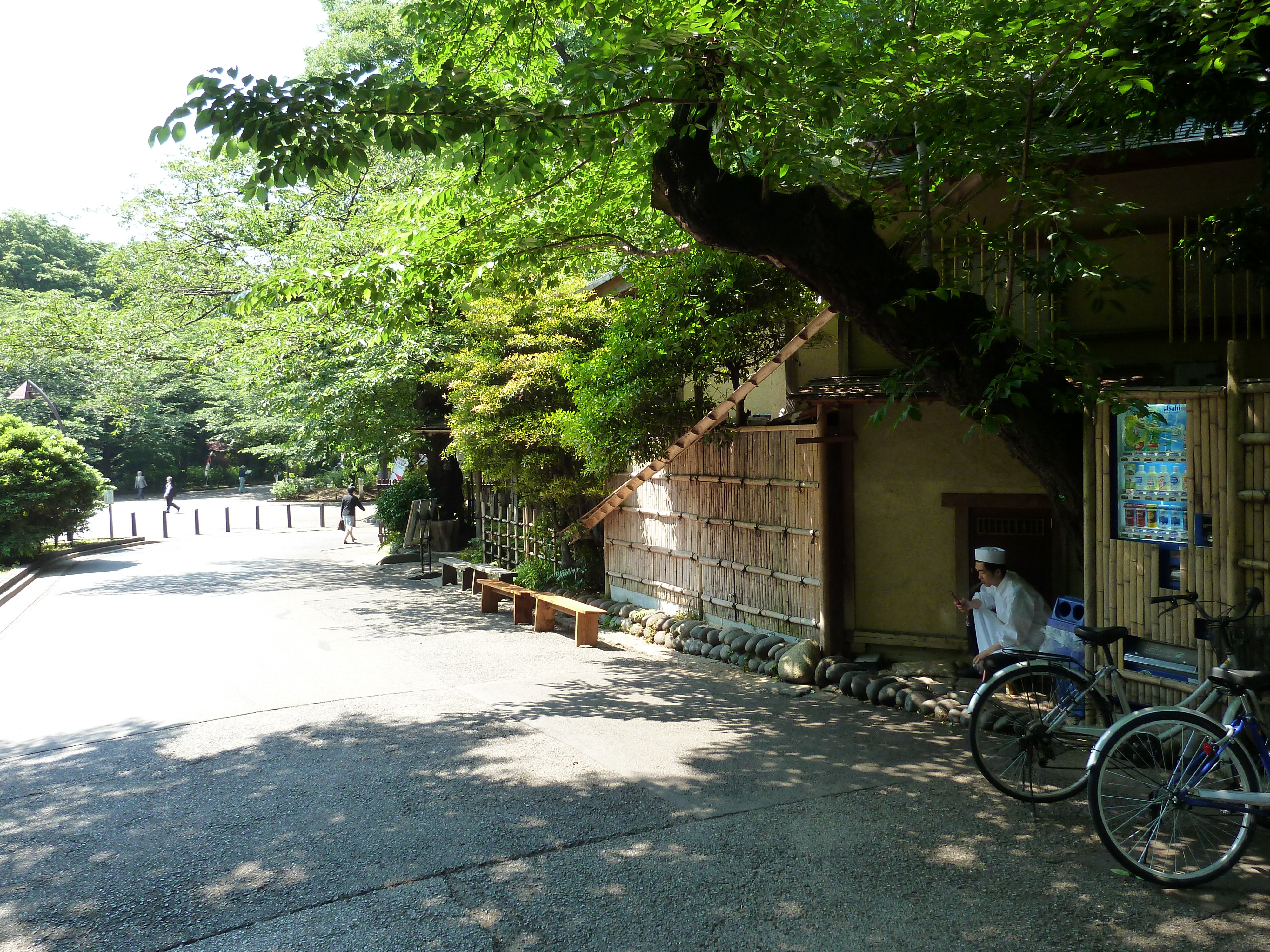 照片 日本(Japan) 东京(Tokyo) 上野(Ueno) 2010-06 14