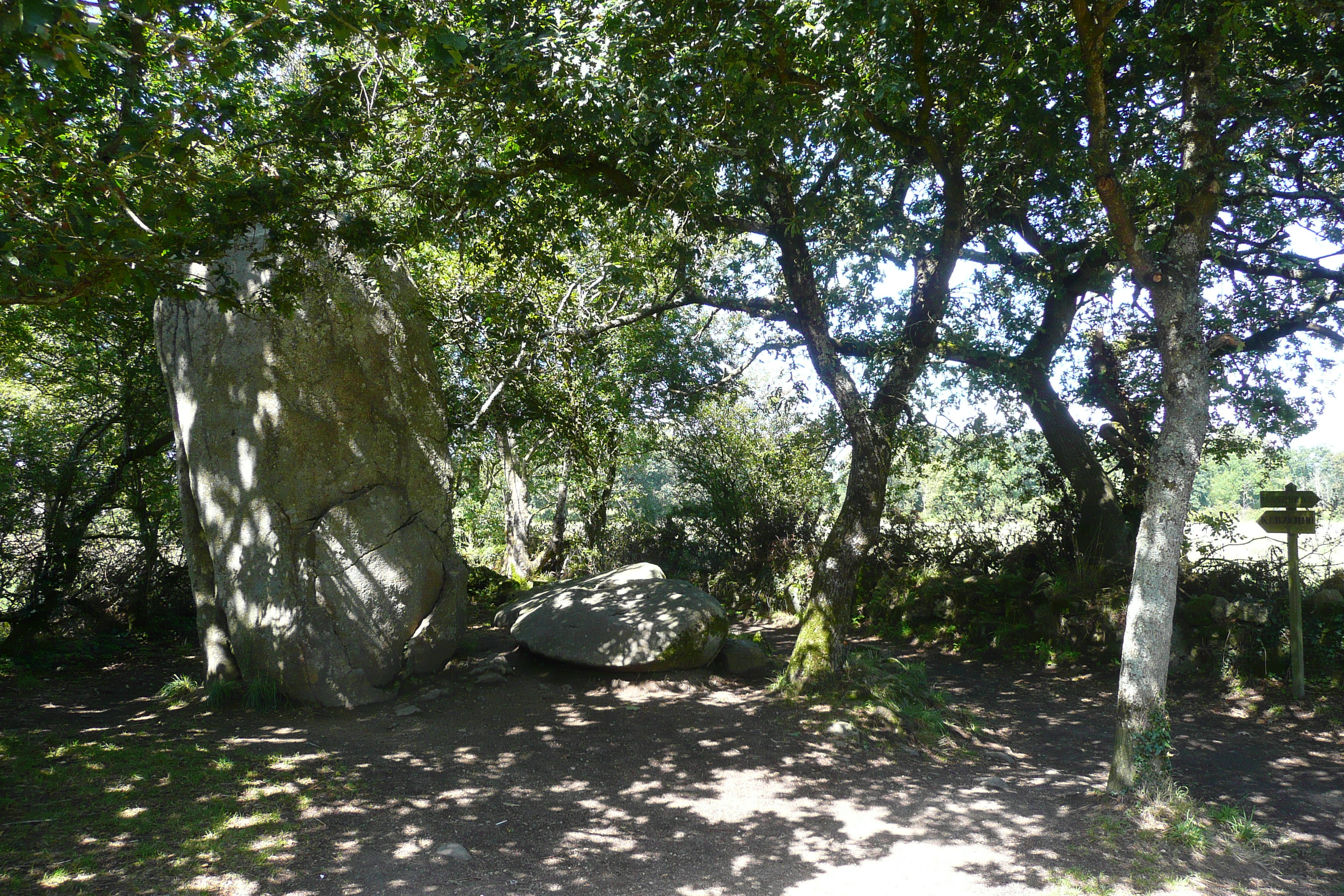 照片 法国(France) 埃尔德旺(Erdeven) 2008-07 10