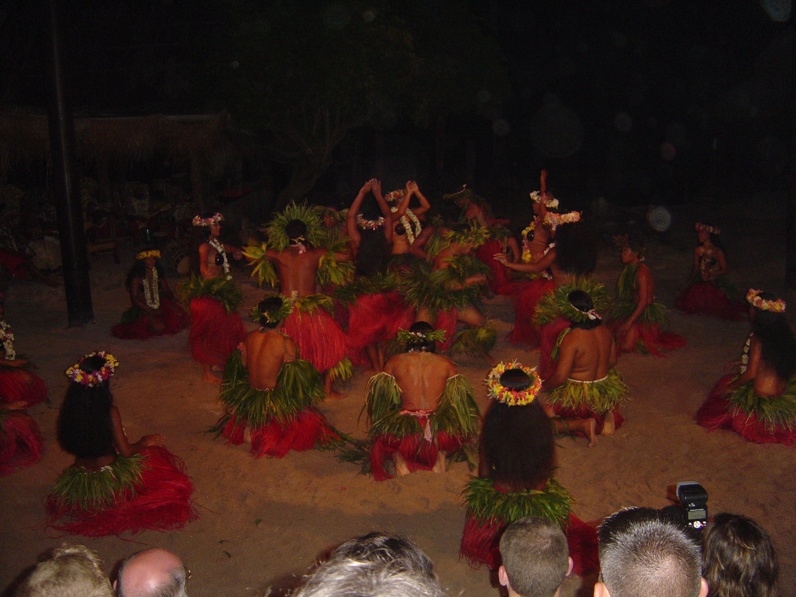 照片 波利尼西亚(Polynesia) 莫雷阿岛(Moorea) 2006-04 53
