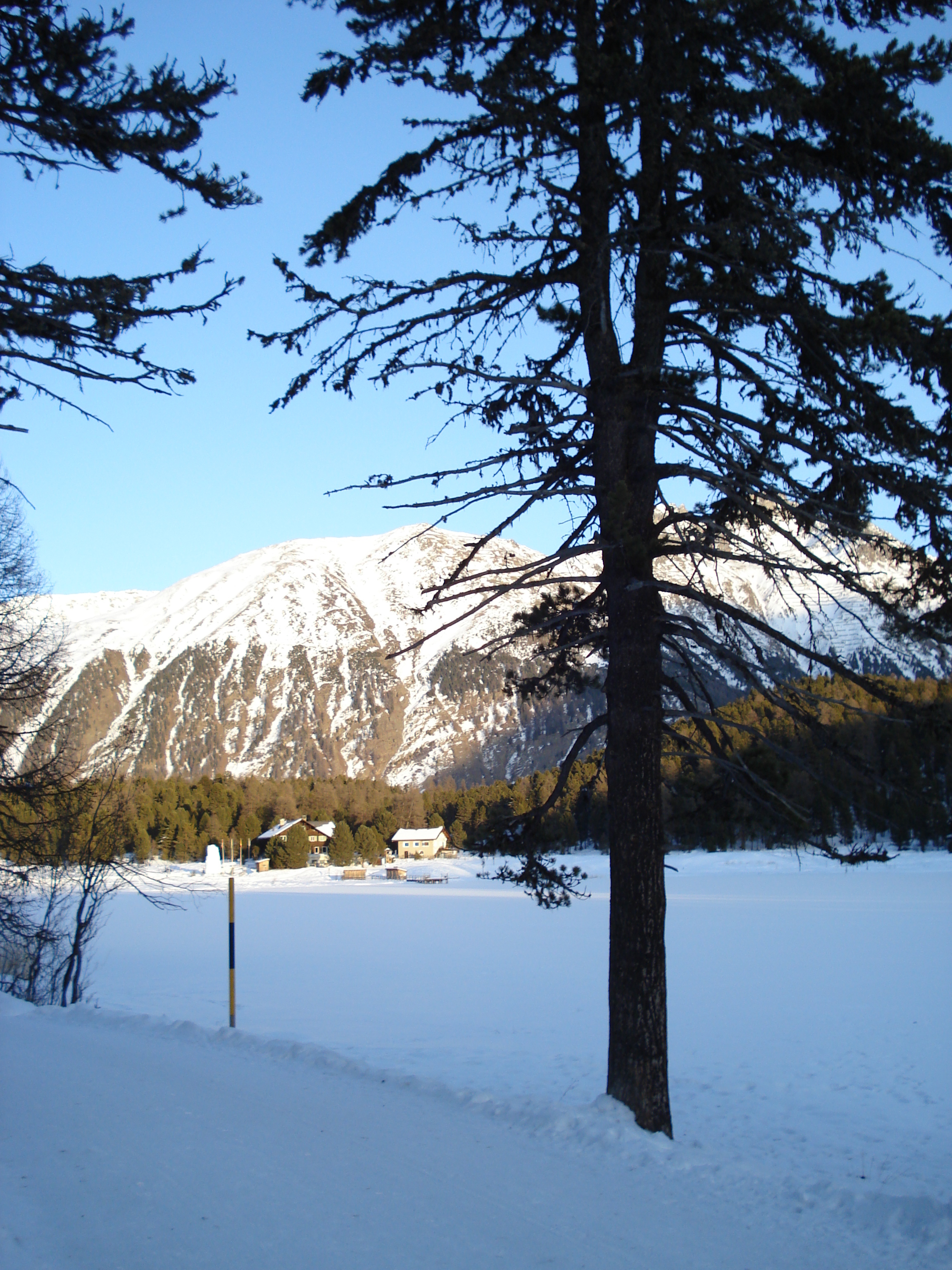 照片 瑞士(Switzerland) 圣莫里茨施拉里尼亚(St Moritz Schlarigna) 2007-01 94