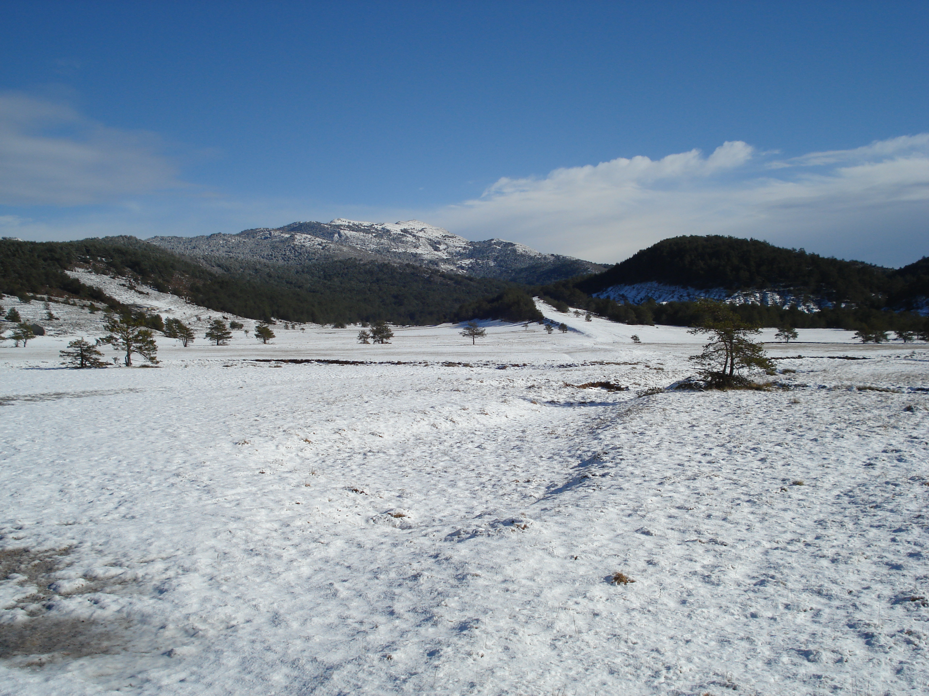 照片 法国(France) 库尔瑟古勒至格雷奥利耶雪场公路(Coursegoule to Greolieres les neiges road) 2007-01 26