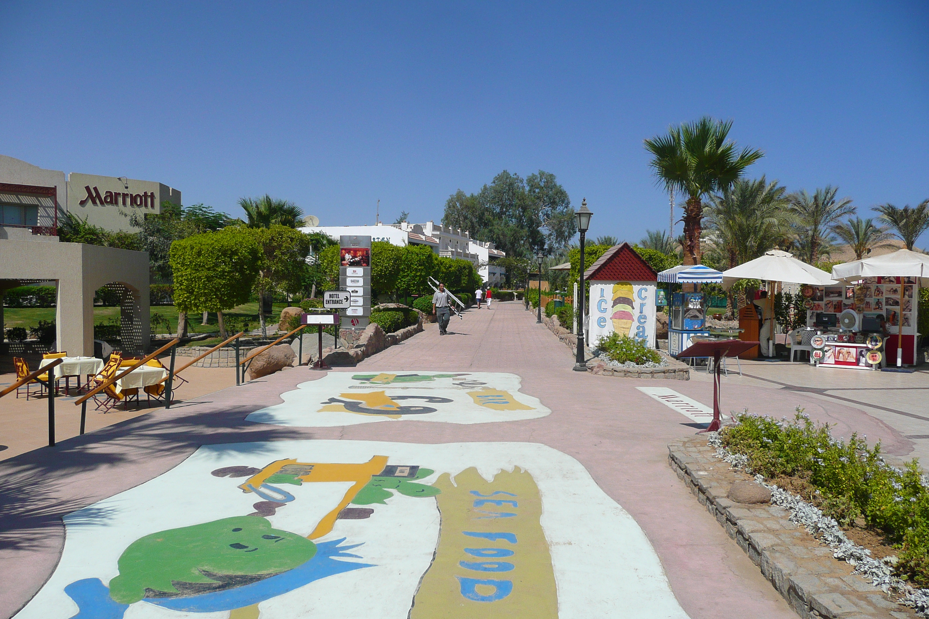 照片 埃及(Egypt) 沙姆沙伊赫(Sharm el Sheikh) 2008-06 85