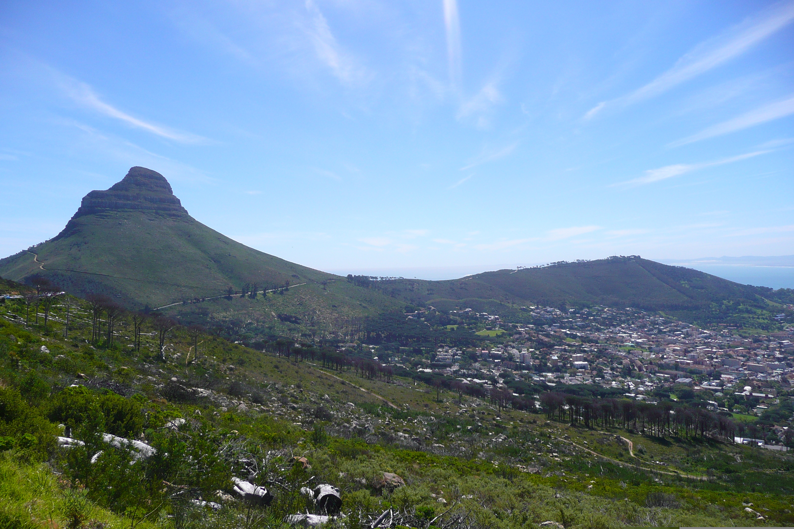 照片 南非(South Africa) 开普敦(Cape Town) 桌山(Table Mountain) 2008-09 10