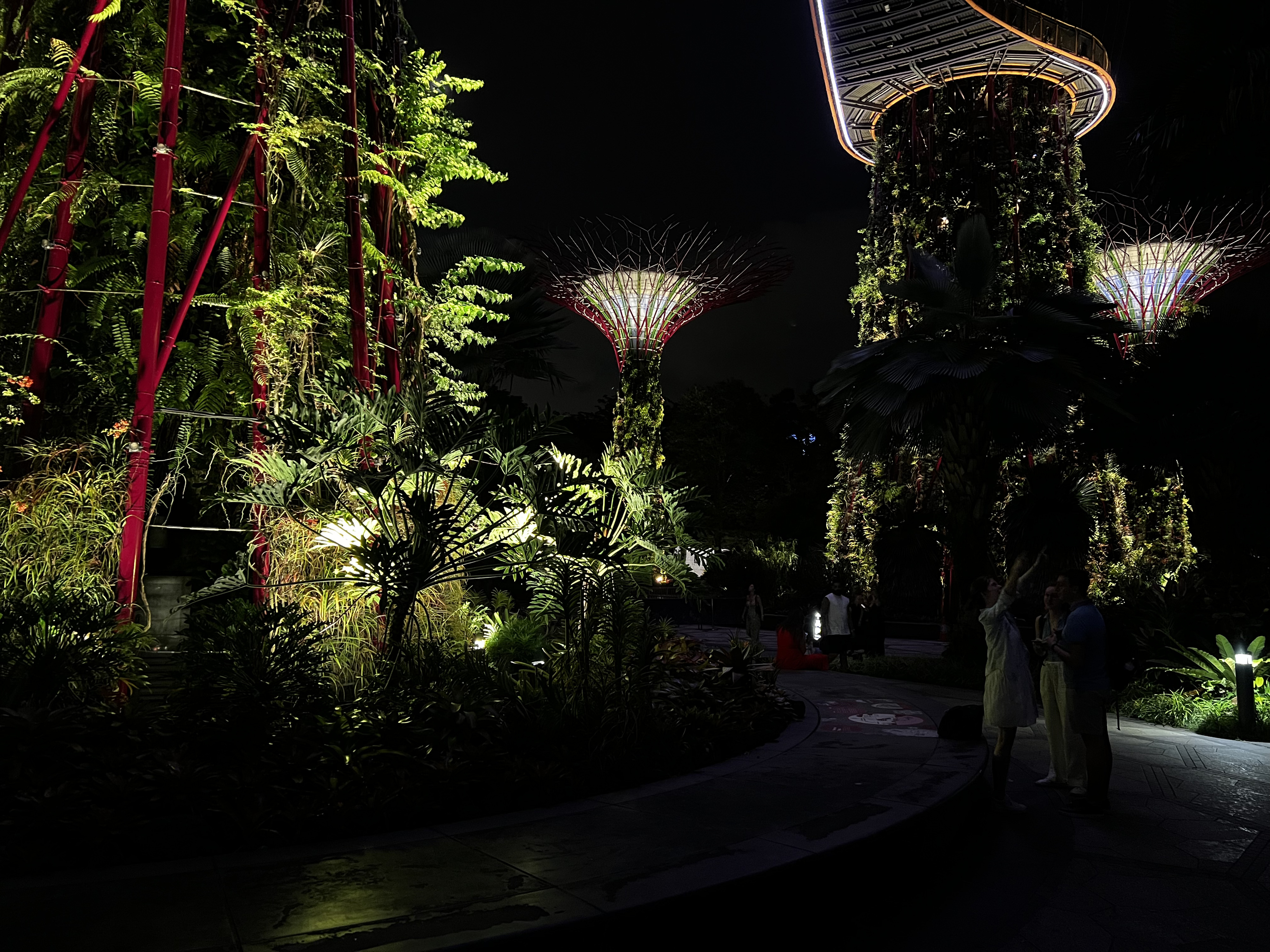 照片 新加坡(Singapore) 滨海湾花园(Garden by the bay) 2023-01 3