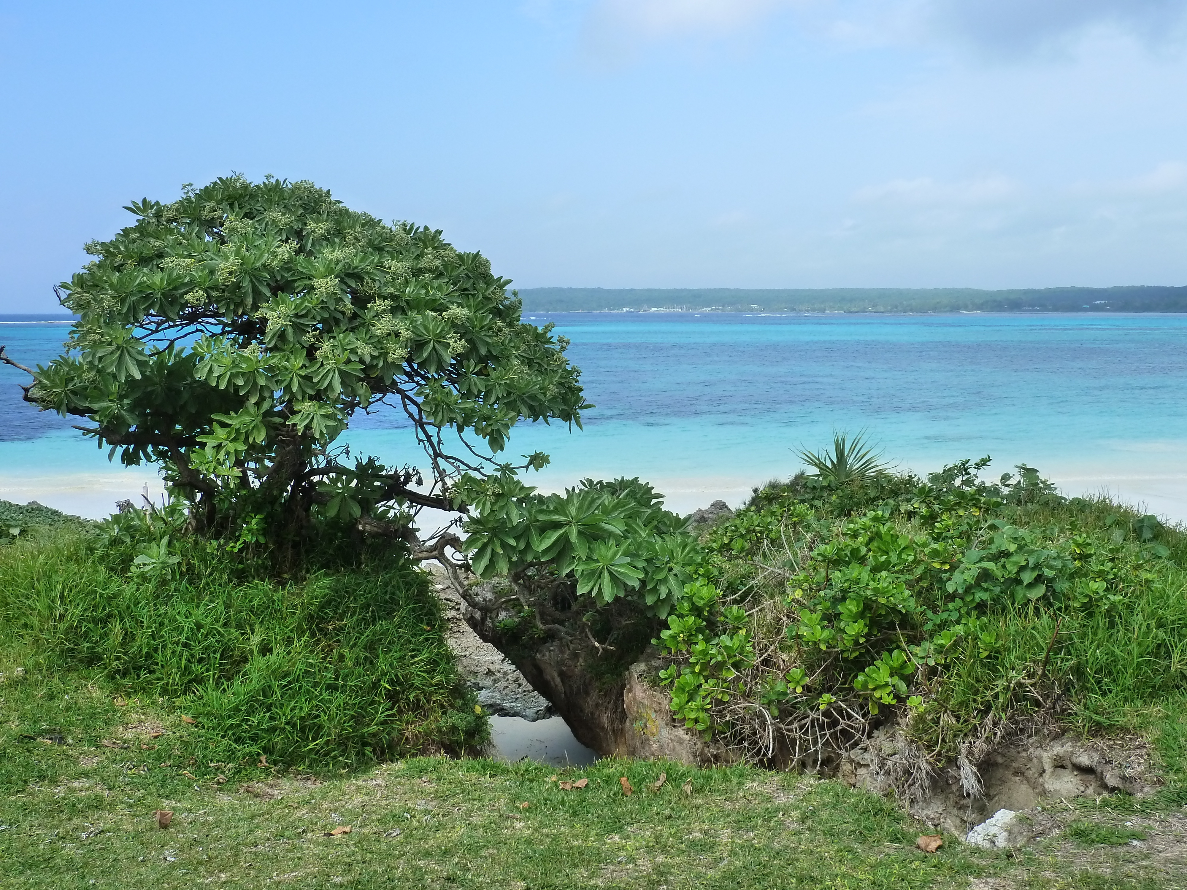 照片 新喀里多尼亚(New Caledonia) 利富岛(Lifou) 卢埃西拉(Luecilla) 2010-05 50