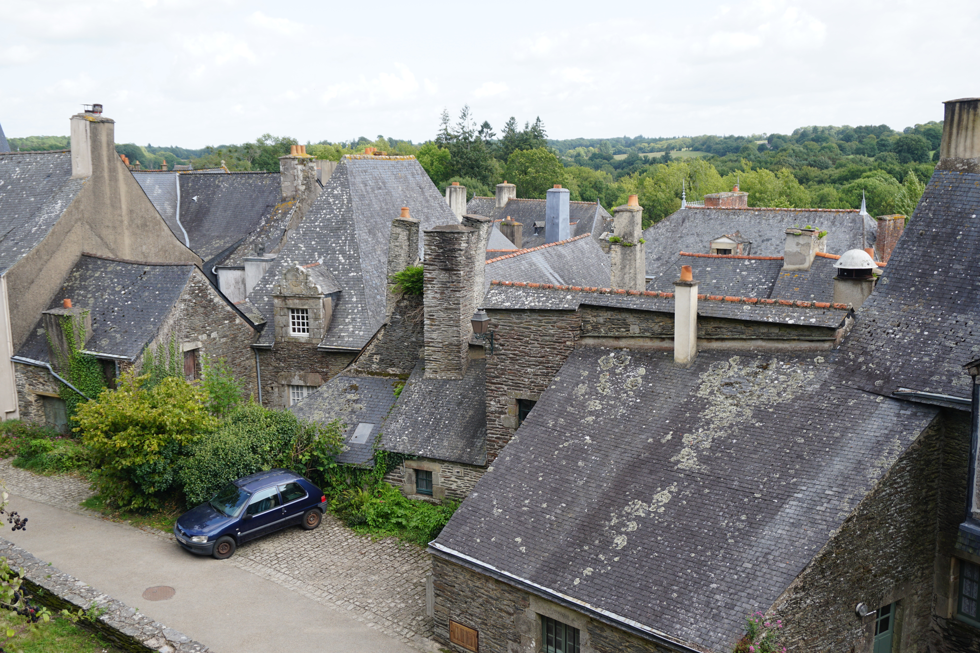 照片 法国(France) 罗什福尔昂泰尔(Rochefort en terre) 2017-08 34