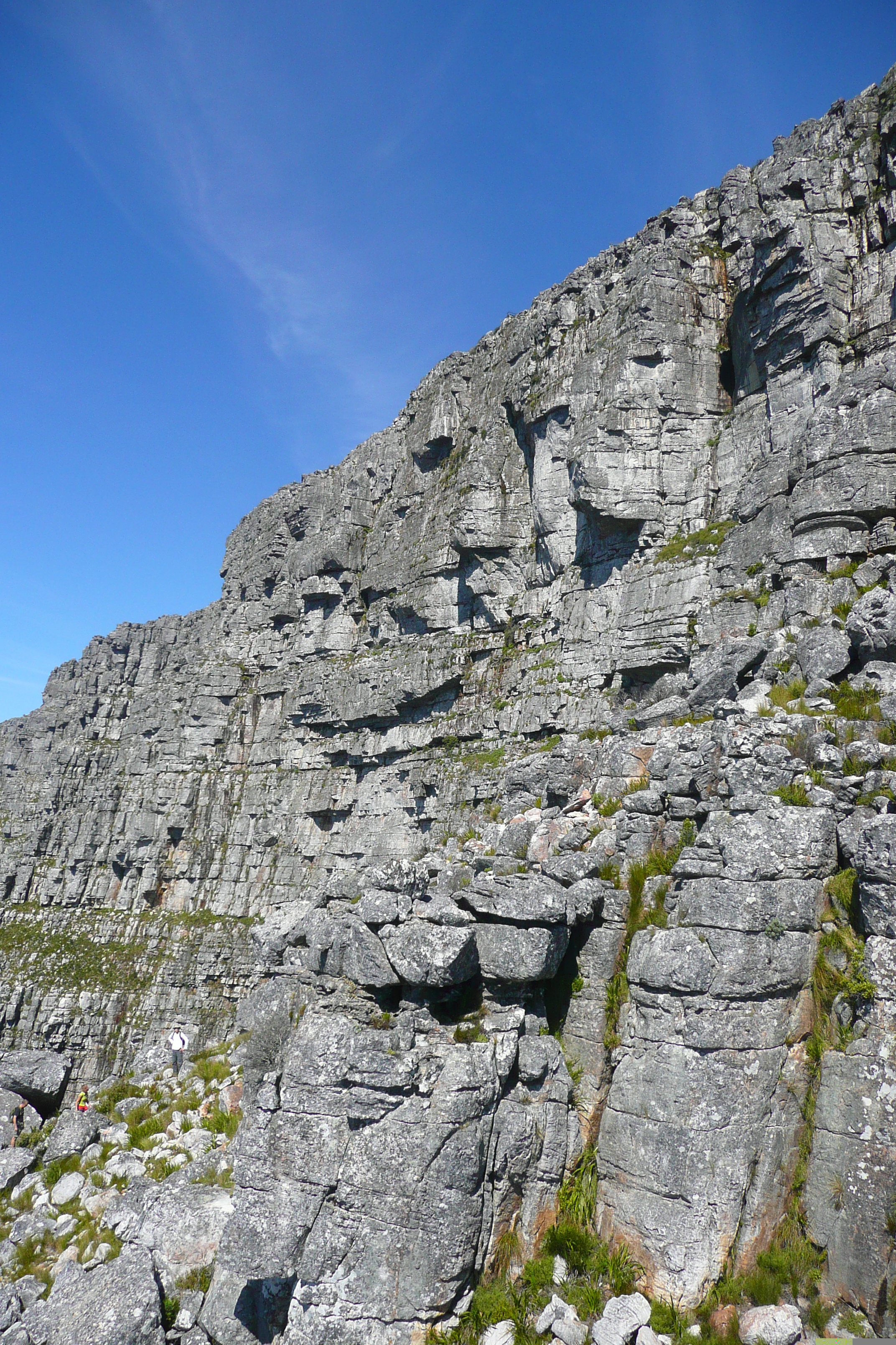 照片 南非(South Africa) 开普敦(Cape Town) 桌山(Table Mountain) 2008-09 35