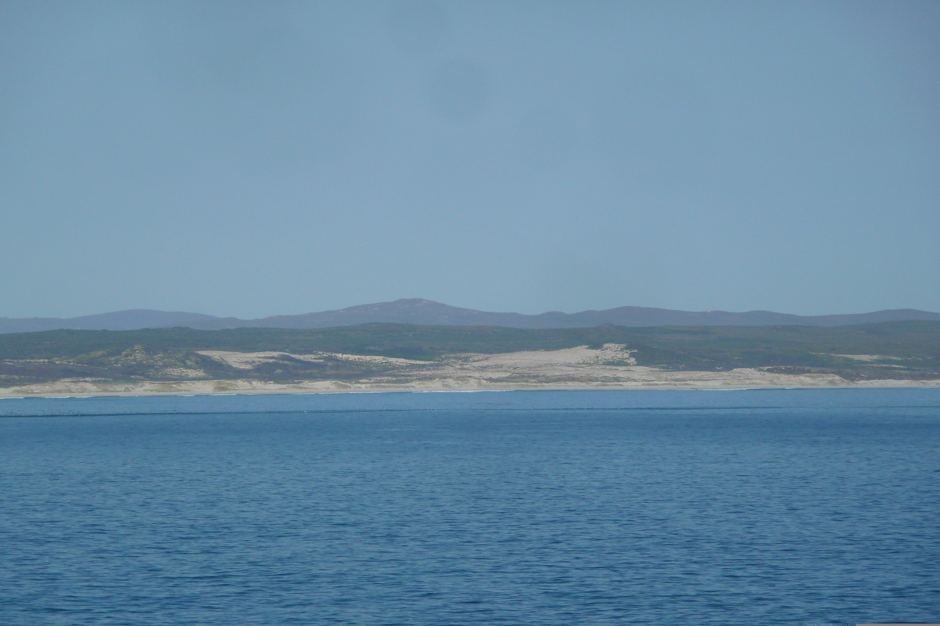 照片 南非(South Africa) 赫曼努斯(Harmanus) 2008-09 307