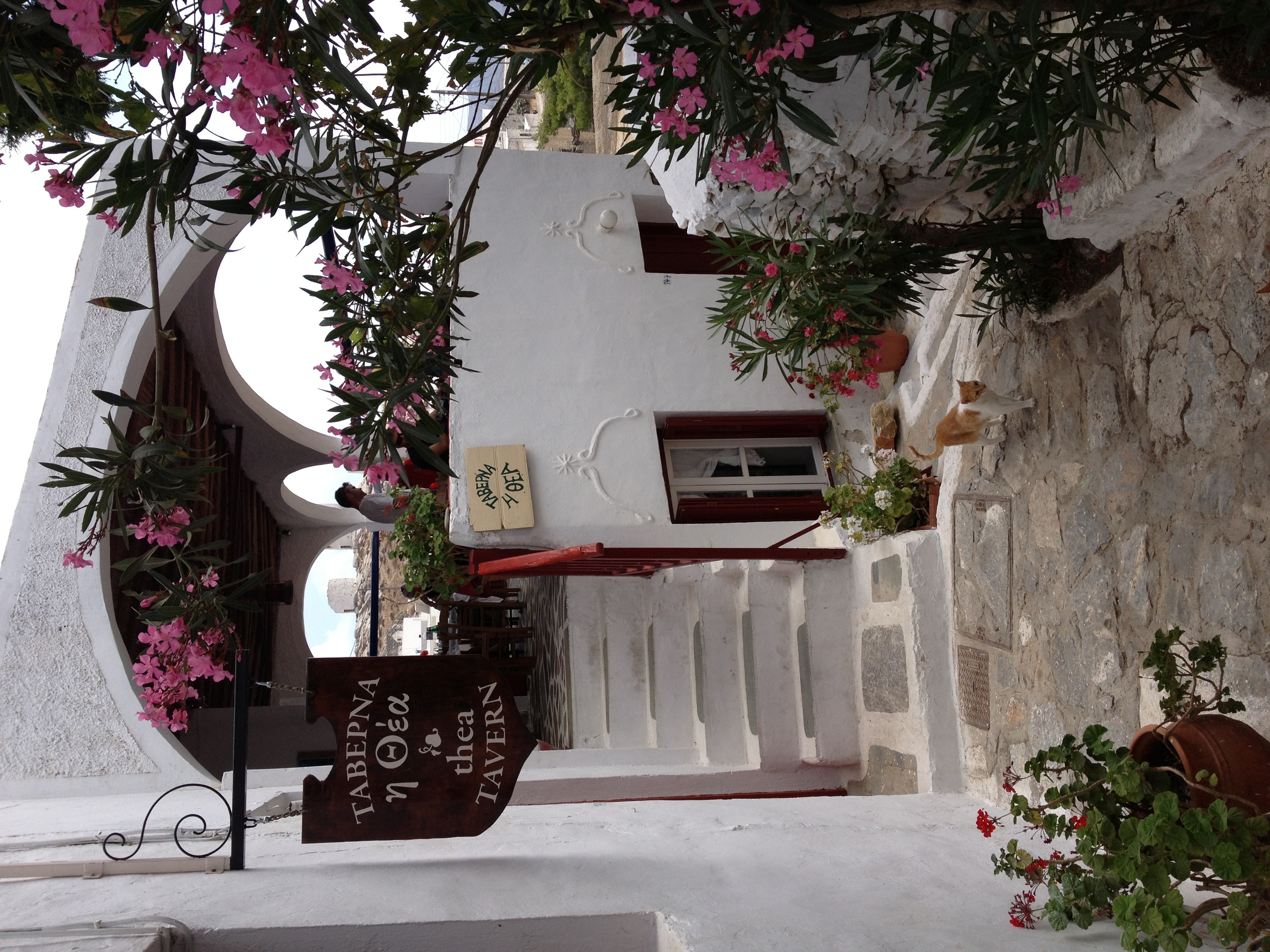 照片 希腊(Greece) 阿莫尔戈斯岛(Amorgos) 2014-07 142