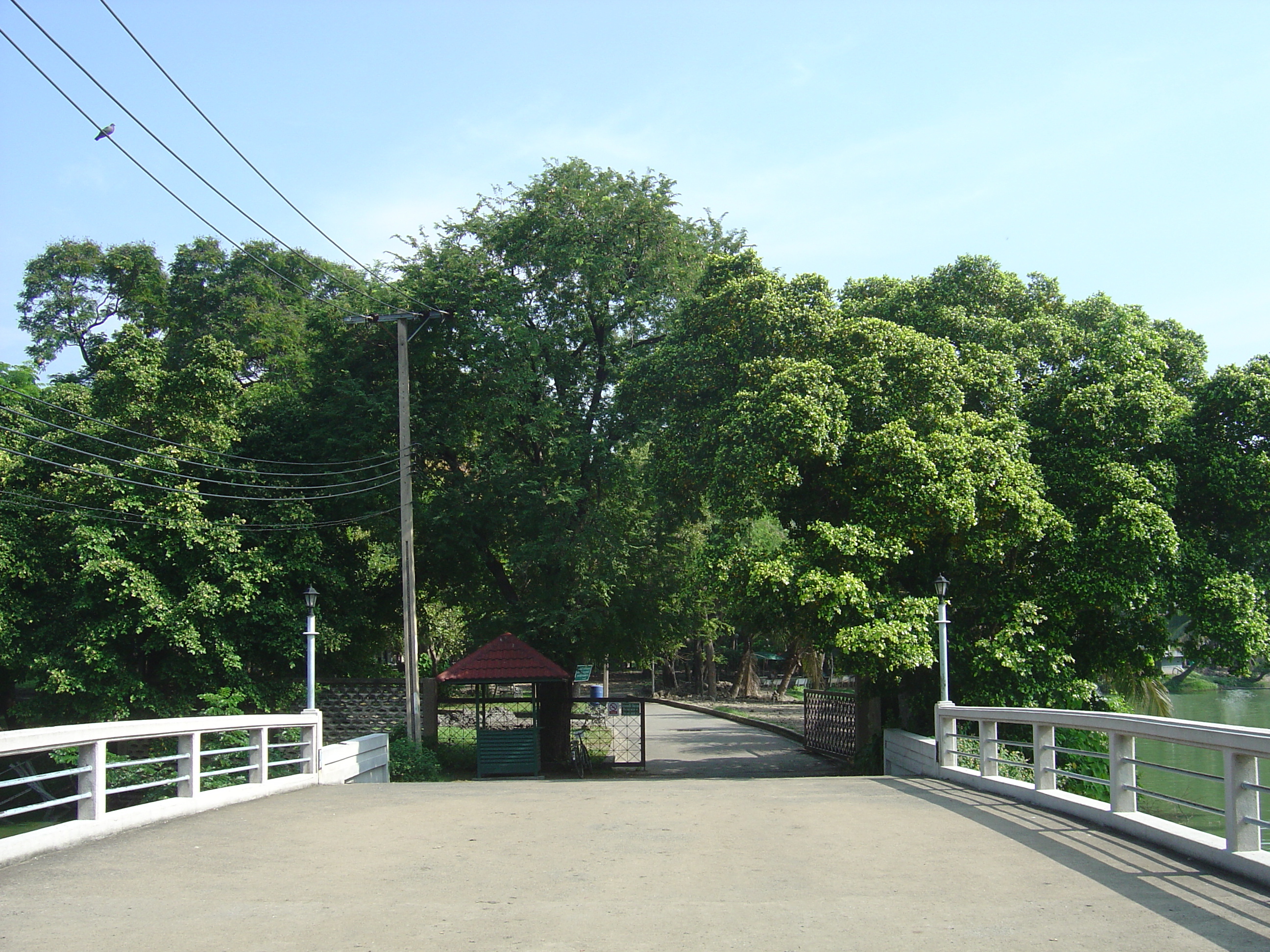 照片 泰国(Thailand) 曼谷(Bangkok) 伦披尼公园(Lumpini Park) 2005-12 19