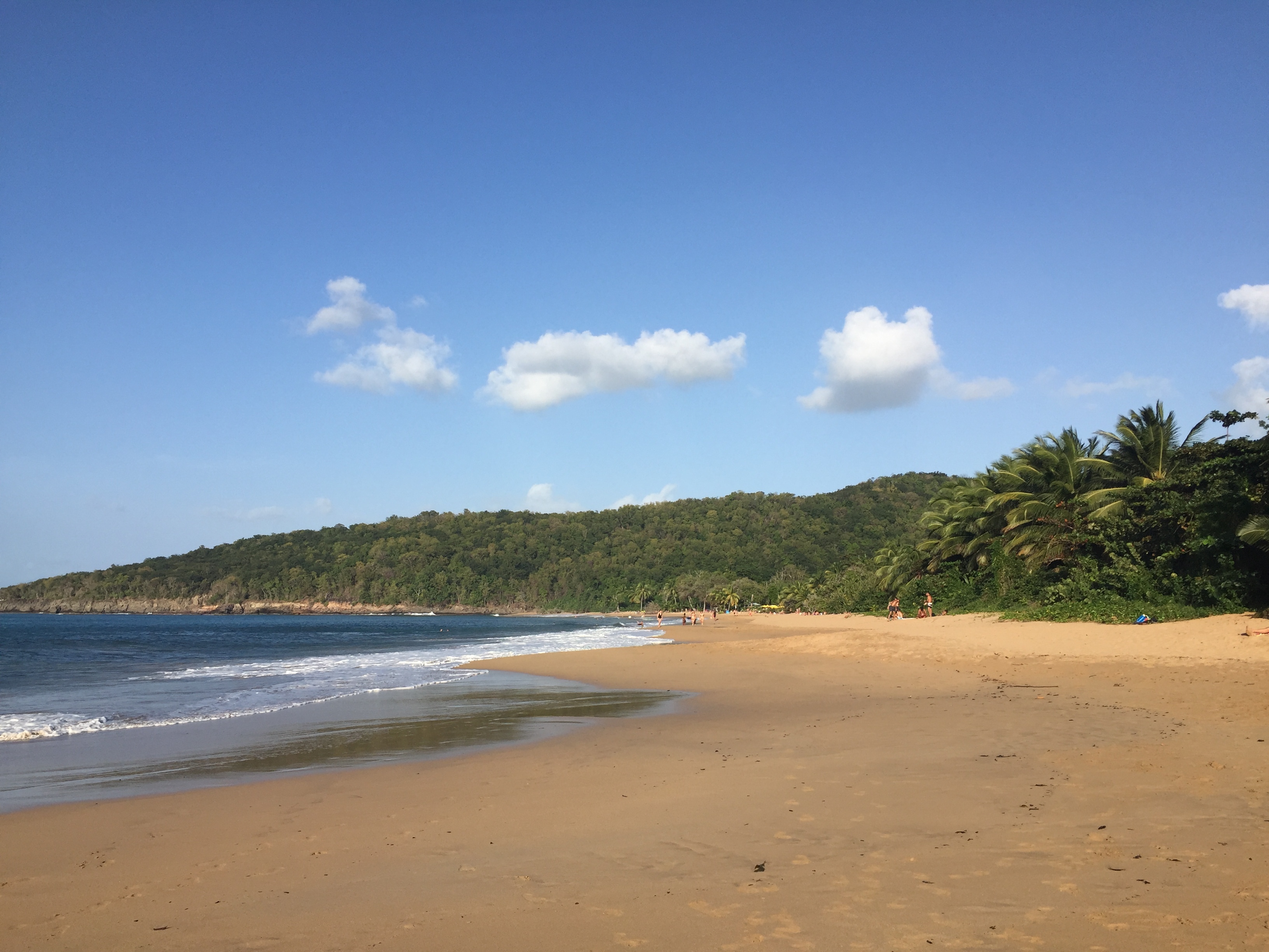 照片 瓜德罗普(Guadeloupe) 珍珠海滩(La Perle Beach) 2021-02 26