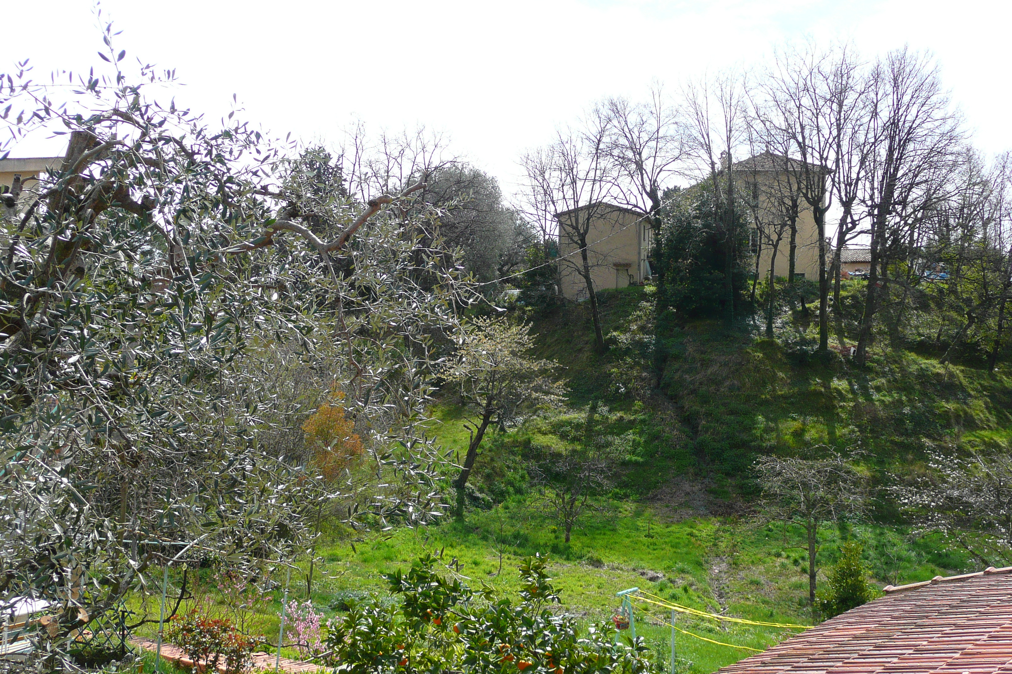 照片 法国(France) 旺斯(Vence) 上旺斯(Hauts de Vence) 2008-03 102