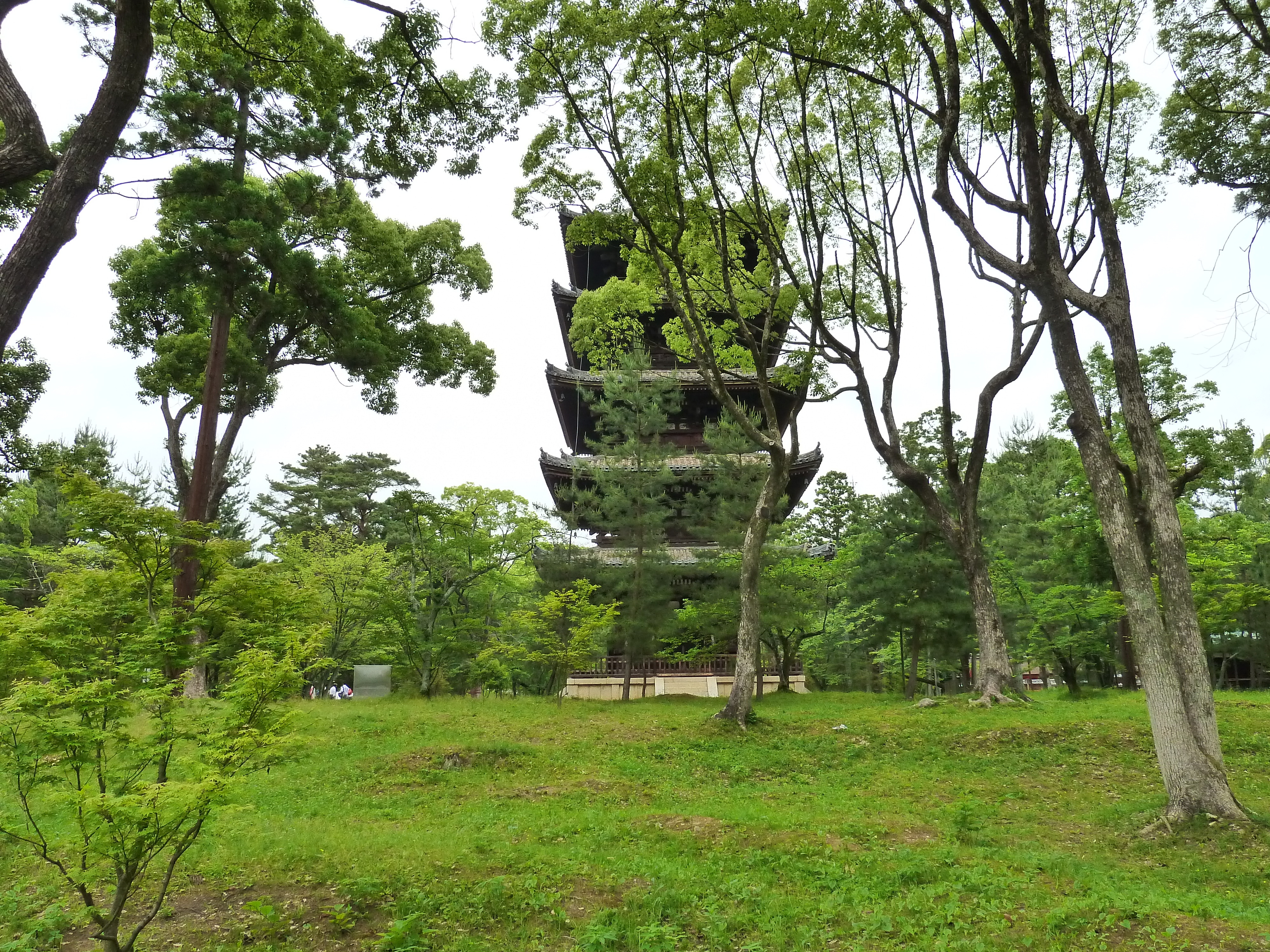 照片 日本(Japan) 京都(Kyoto) 仁和寺(Ninna ji Temple) 2010-06 17
