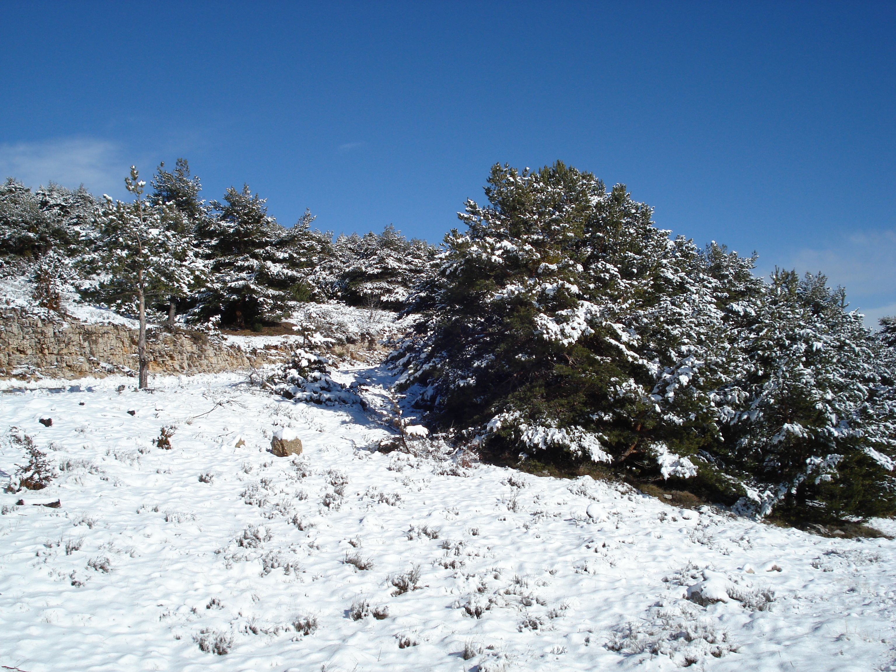 照片 法国(France) 库尔瑟古勒至格雷奥利耶雪场公路(Coursegoule to Greolieres les neiges road) 2007-01 69