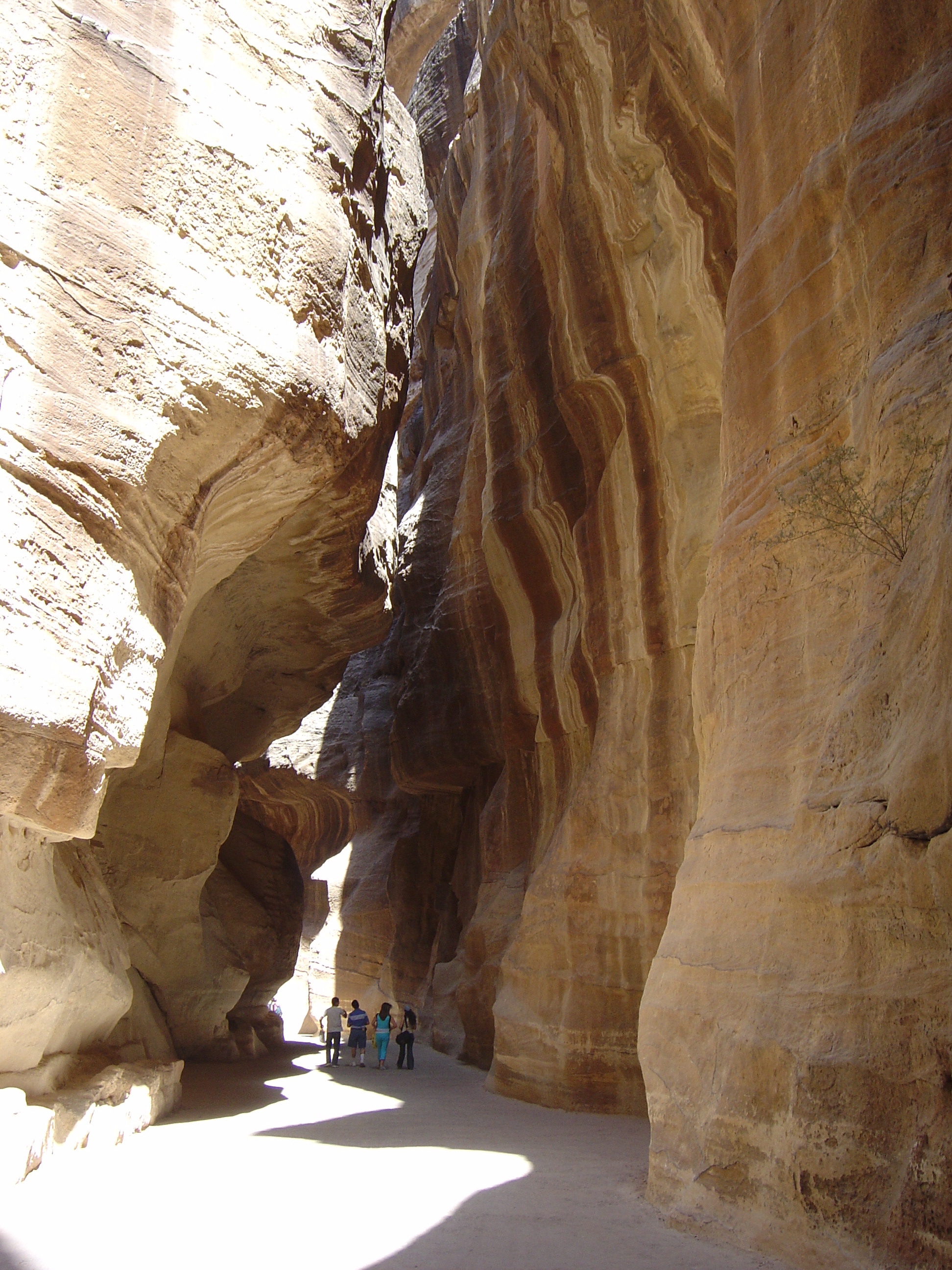 照片 约旦(Jordan) 佩特拉(Petra) 2004-10 87