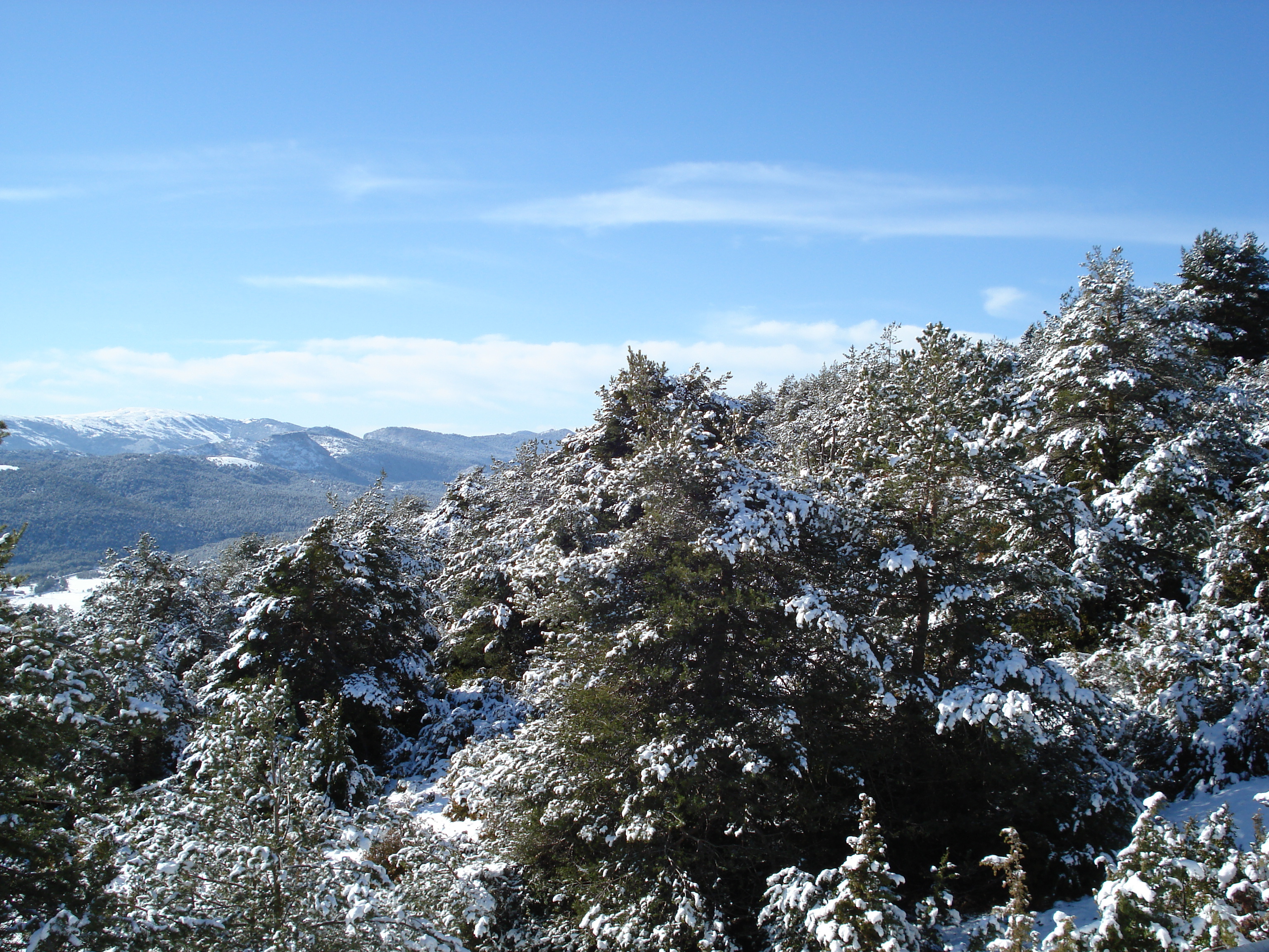 照片 法国(France) 库尔瑟古勒至格雷奥利耶雪场公路(Coursegoule to Greolieres les neiges road) 2007-01 63