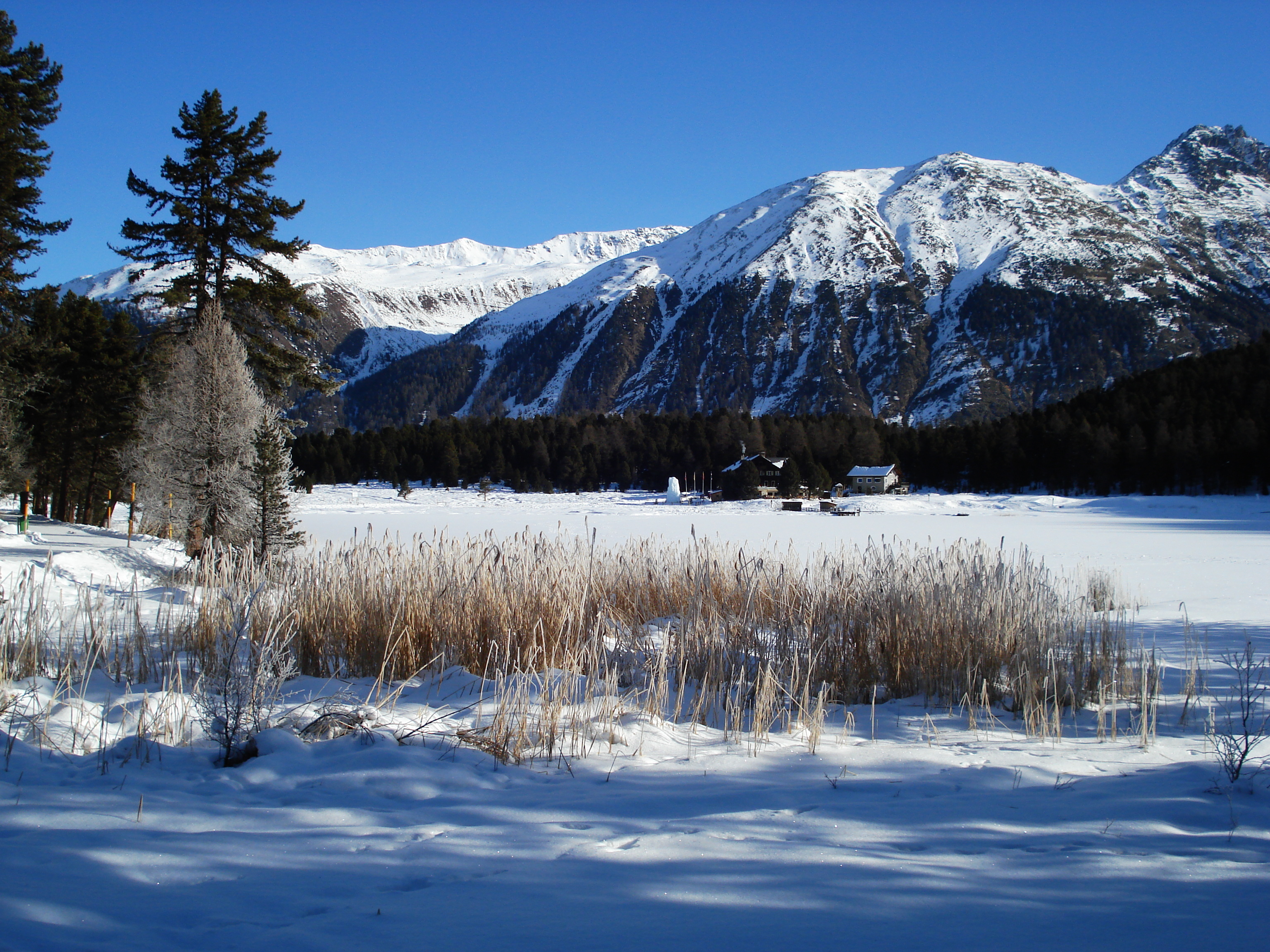 照片 瑞士(Switzerland) 圣莫里茨施拉里尼亚(St Moritz Schlarigna) 2007-01 80