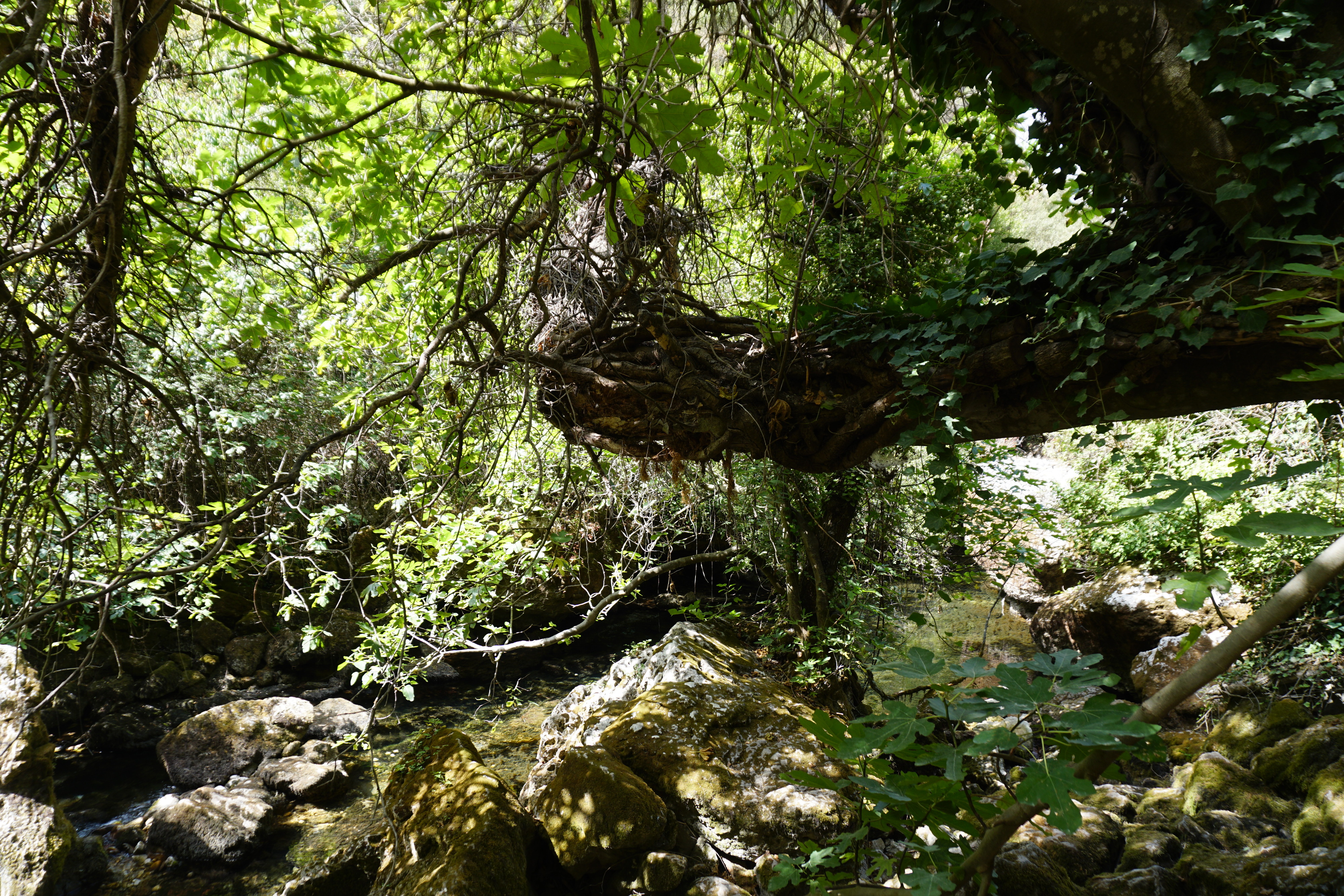 照片 法国(France) 沃克吕兹泉(Fontaine-de-Vaucluse) 2017-08 54