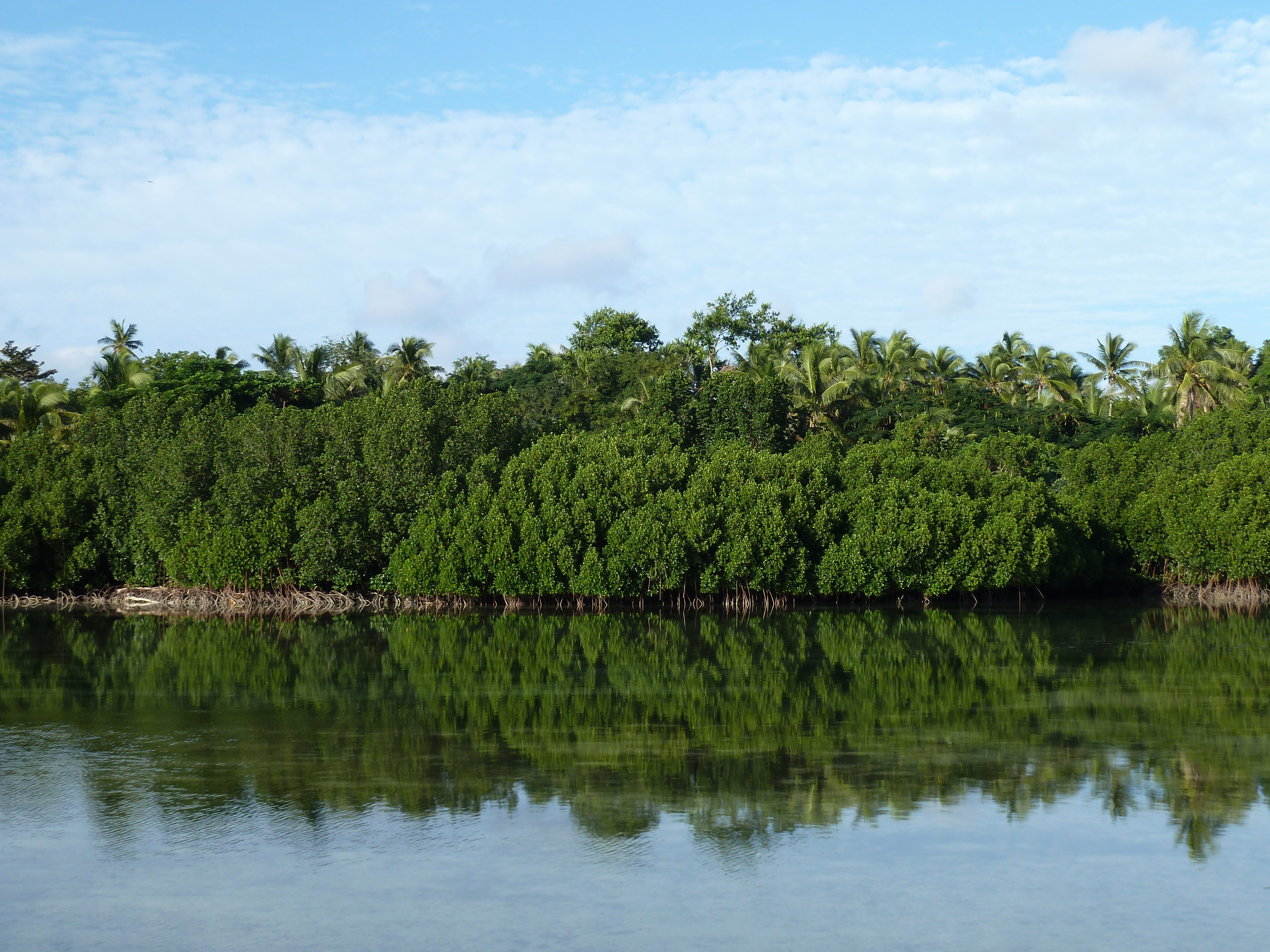 照片 斐济(Fiji) 2010-05 19