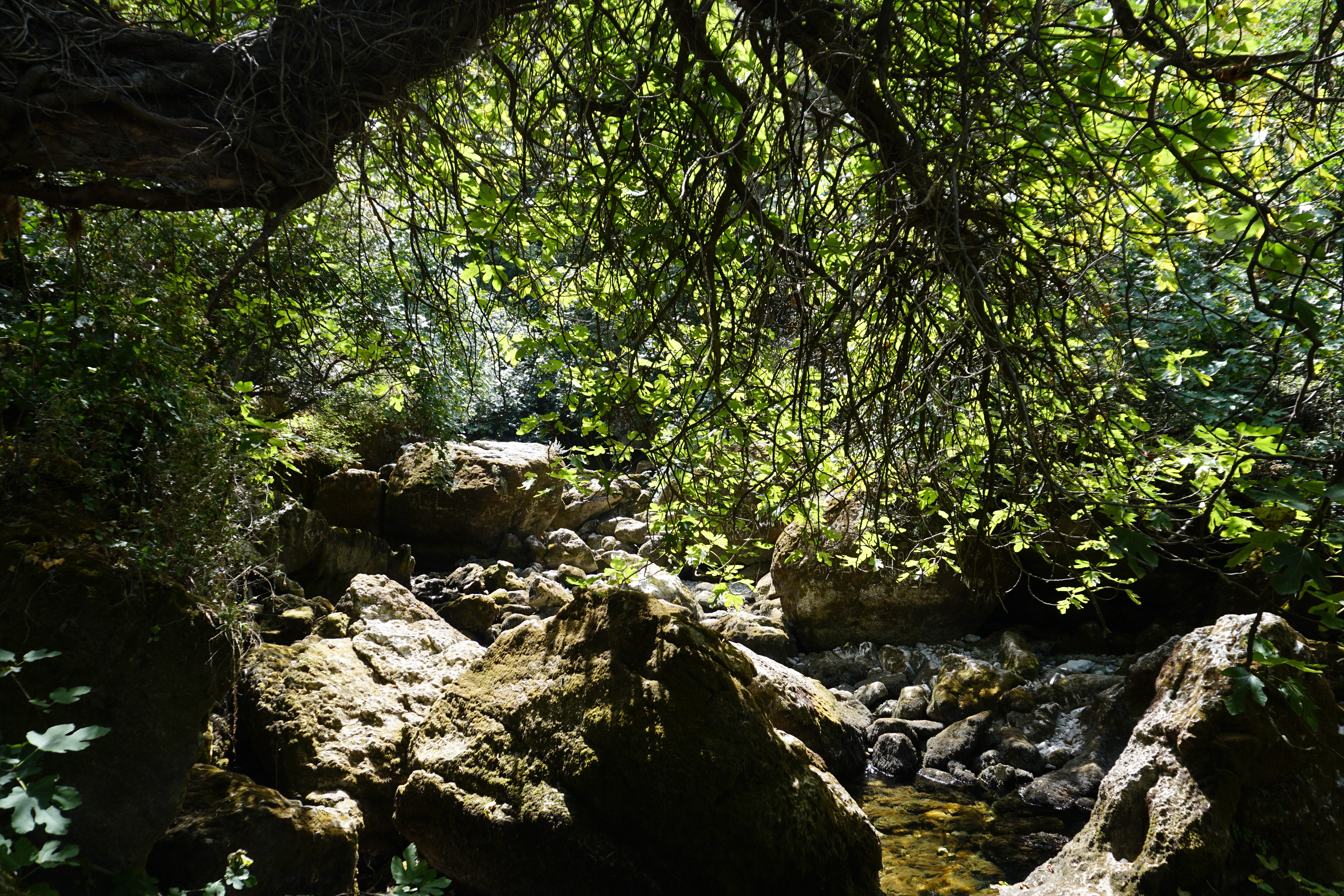 照片 法国(France) 沃克吕兹泉(Fontaine-de-Vaucluse) 2017-08 55